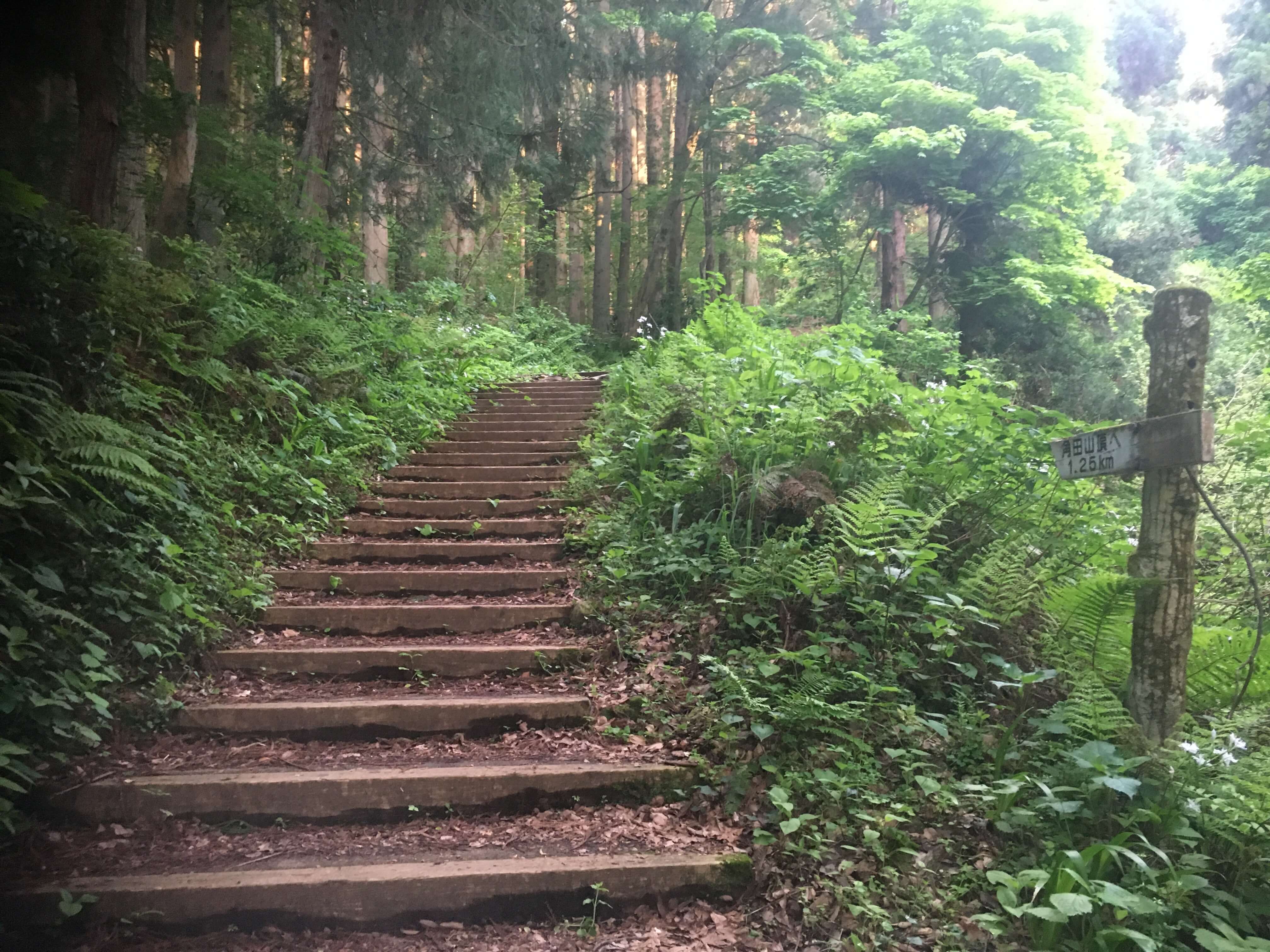 角田山