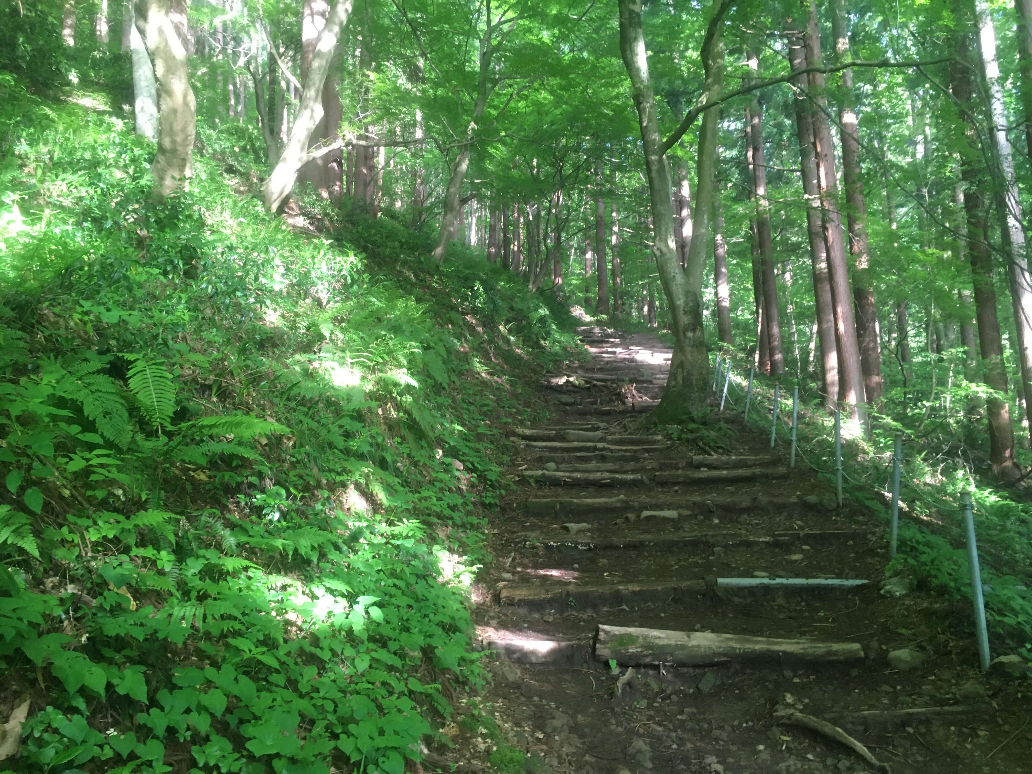 弥彦山