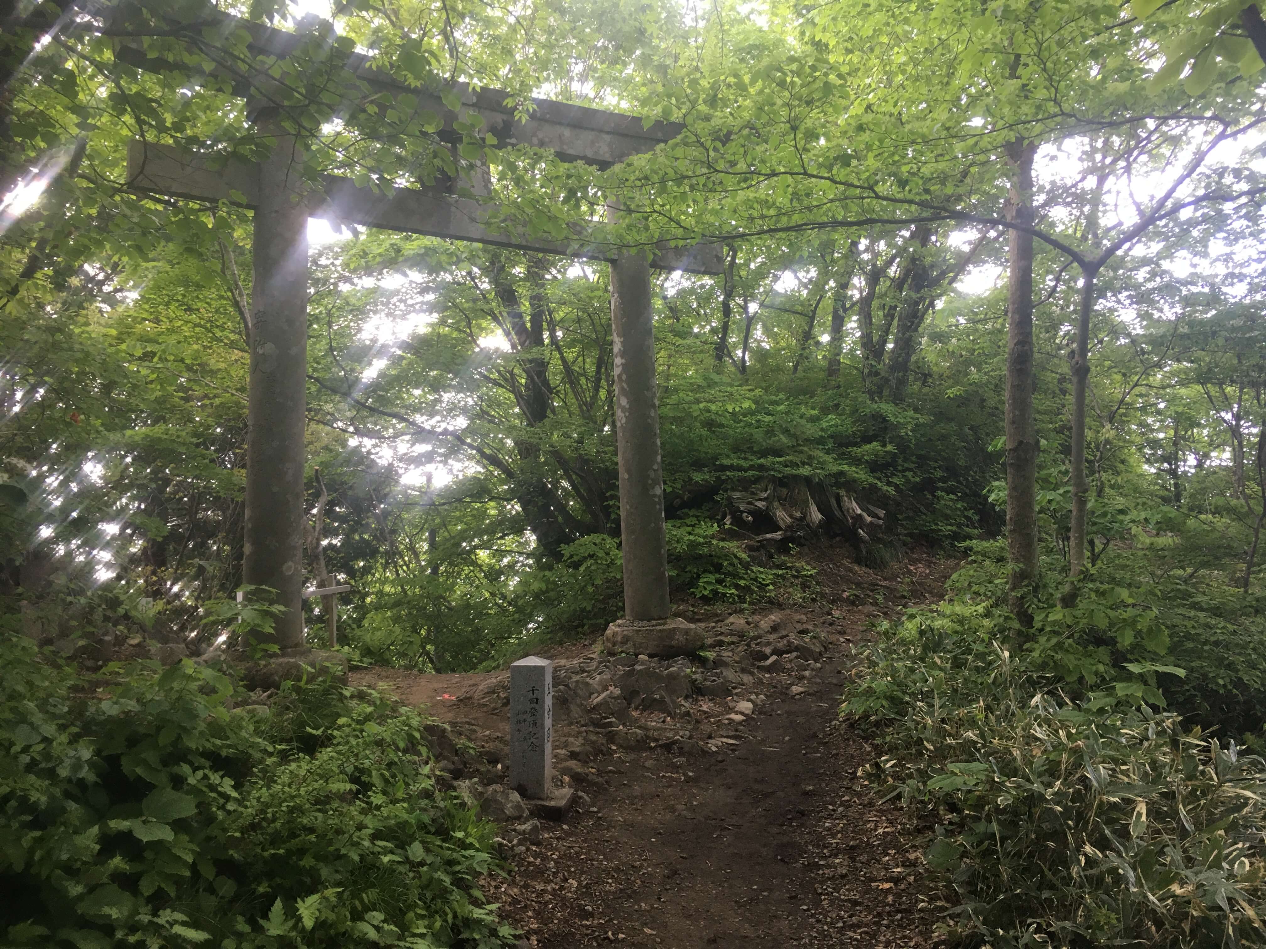 弥彦山