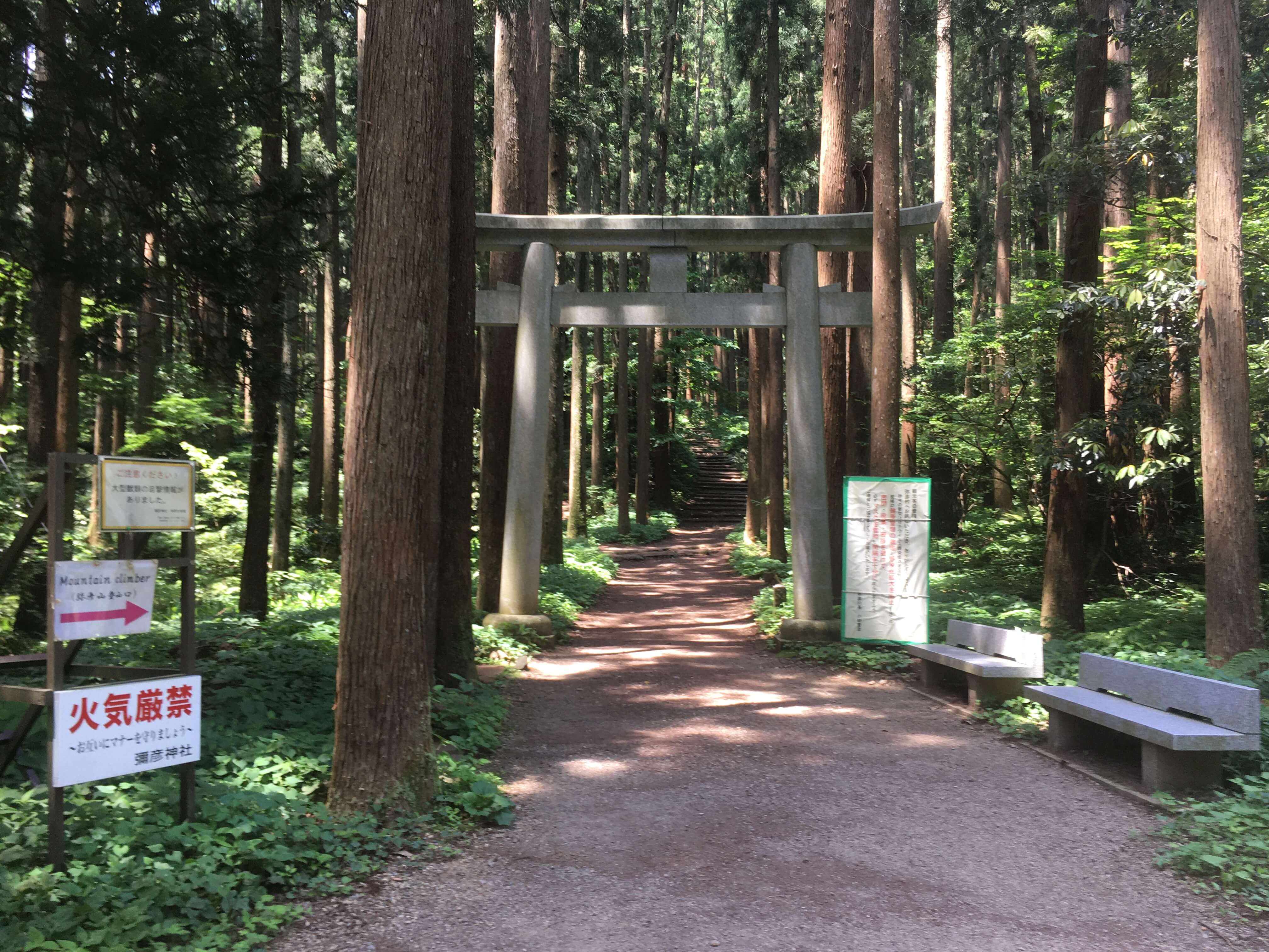 弥彦山
