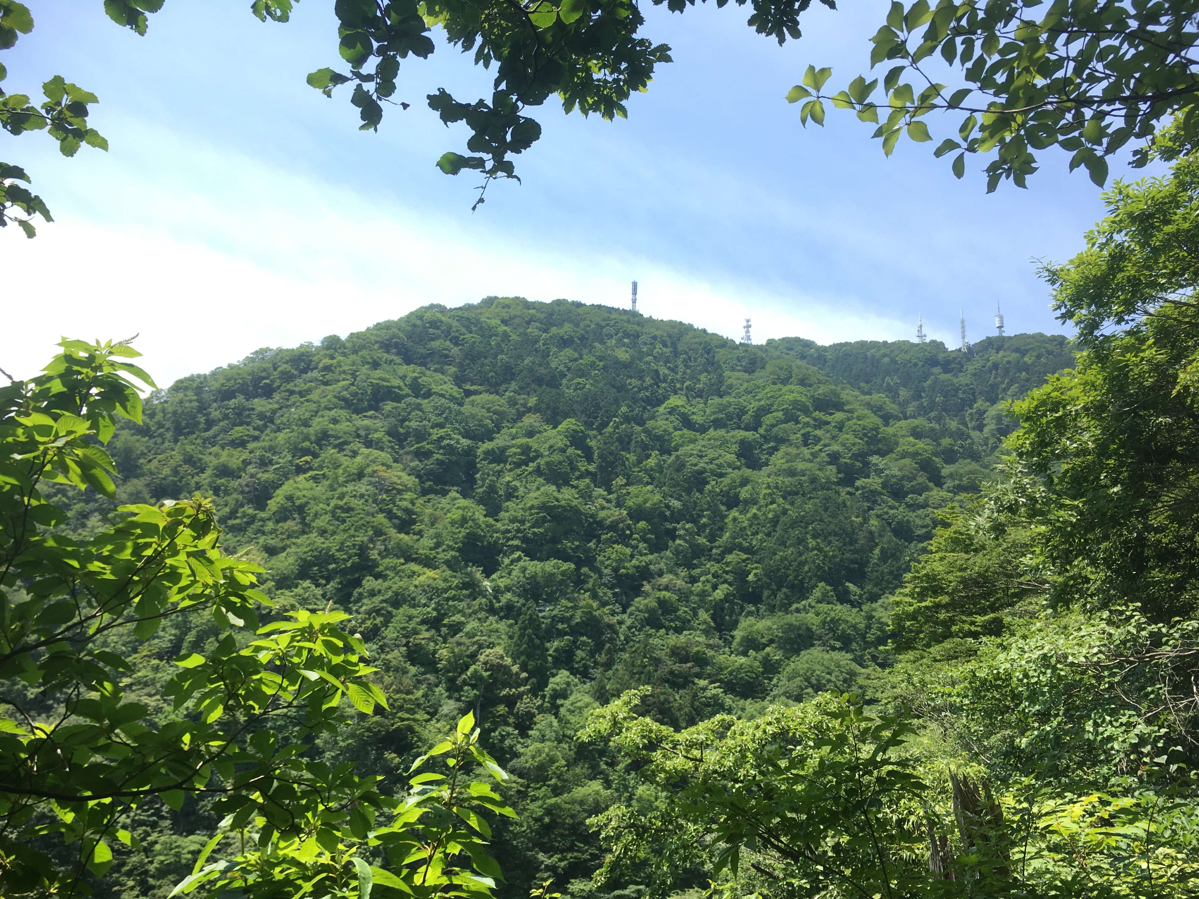 弥彦山