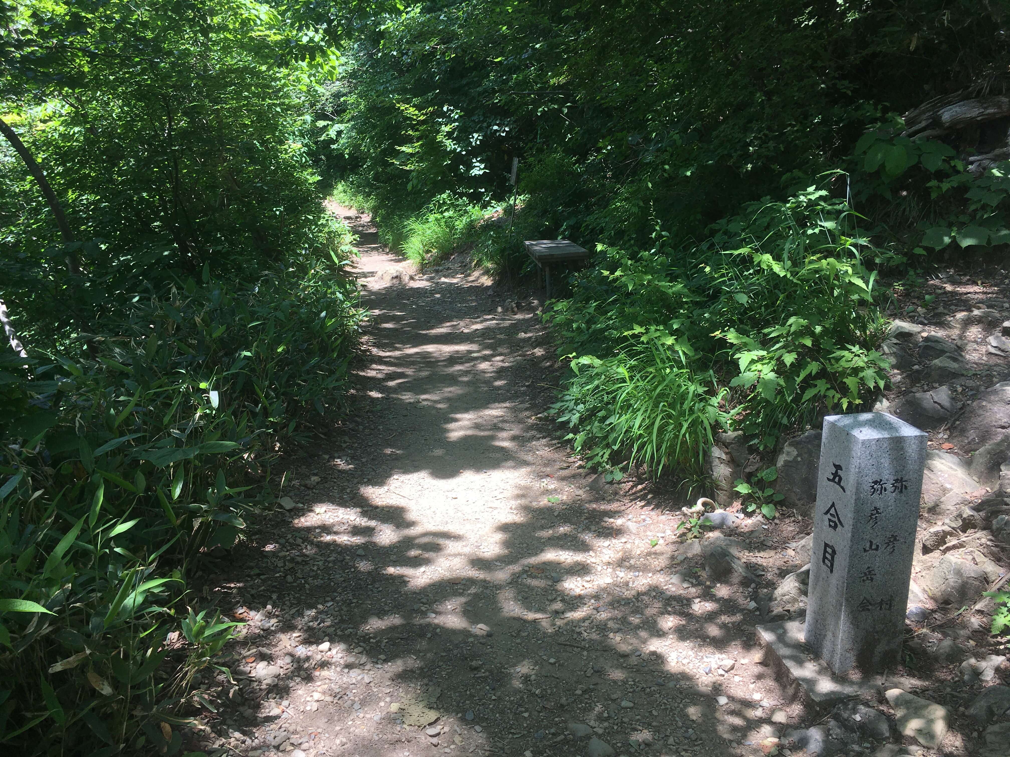 弥彦山