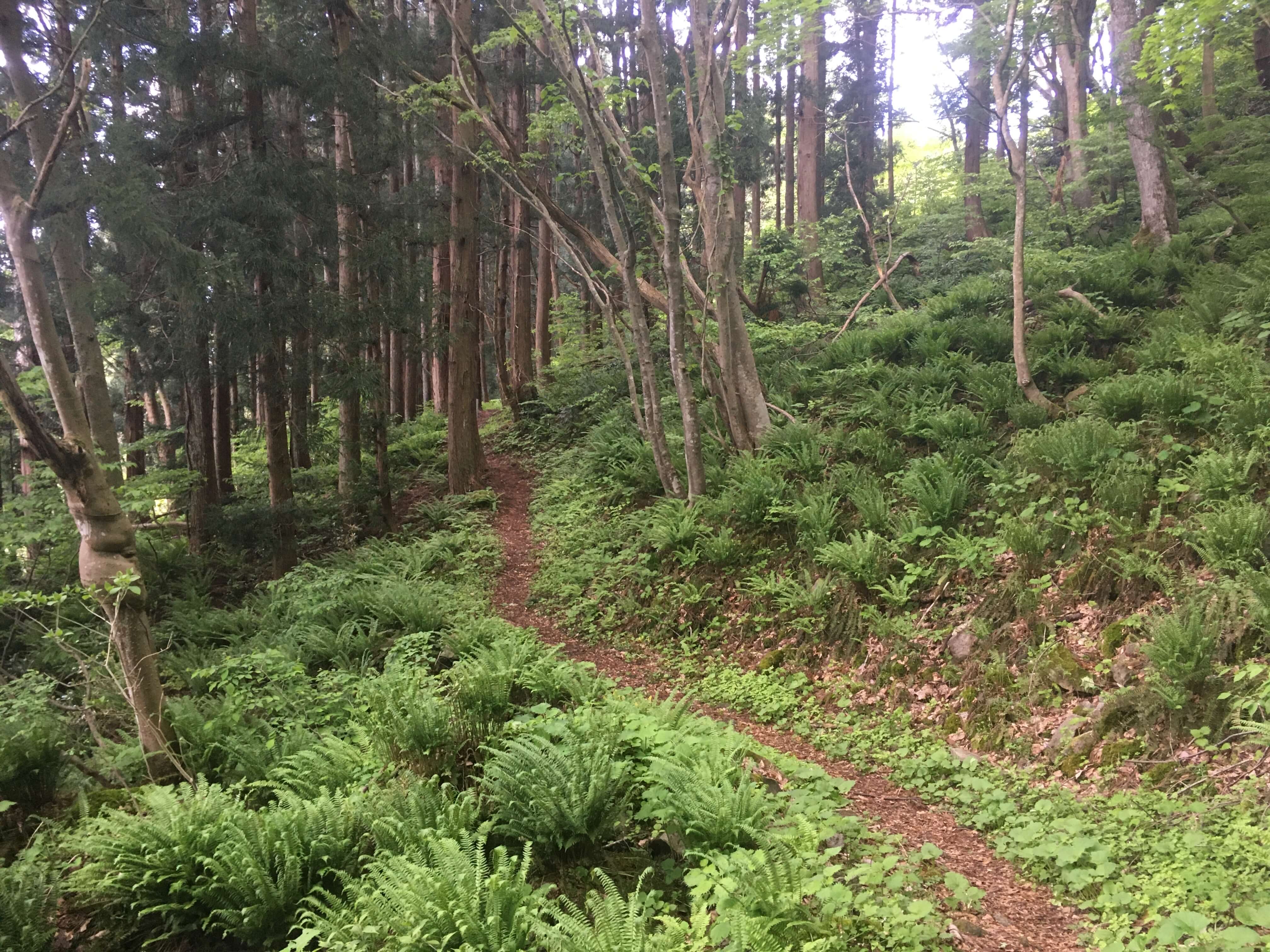 袴腰山