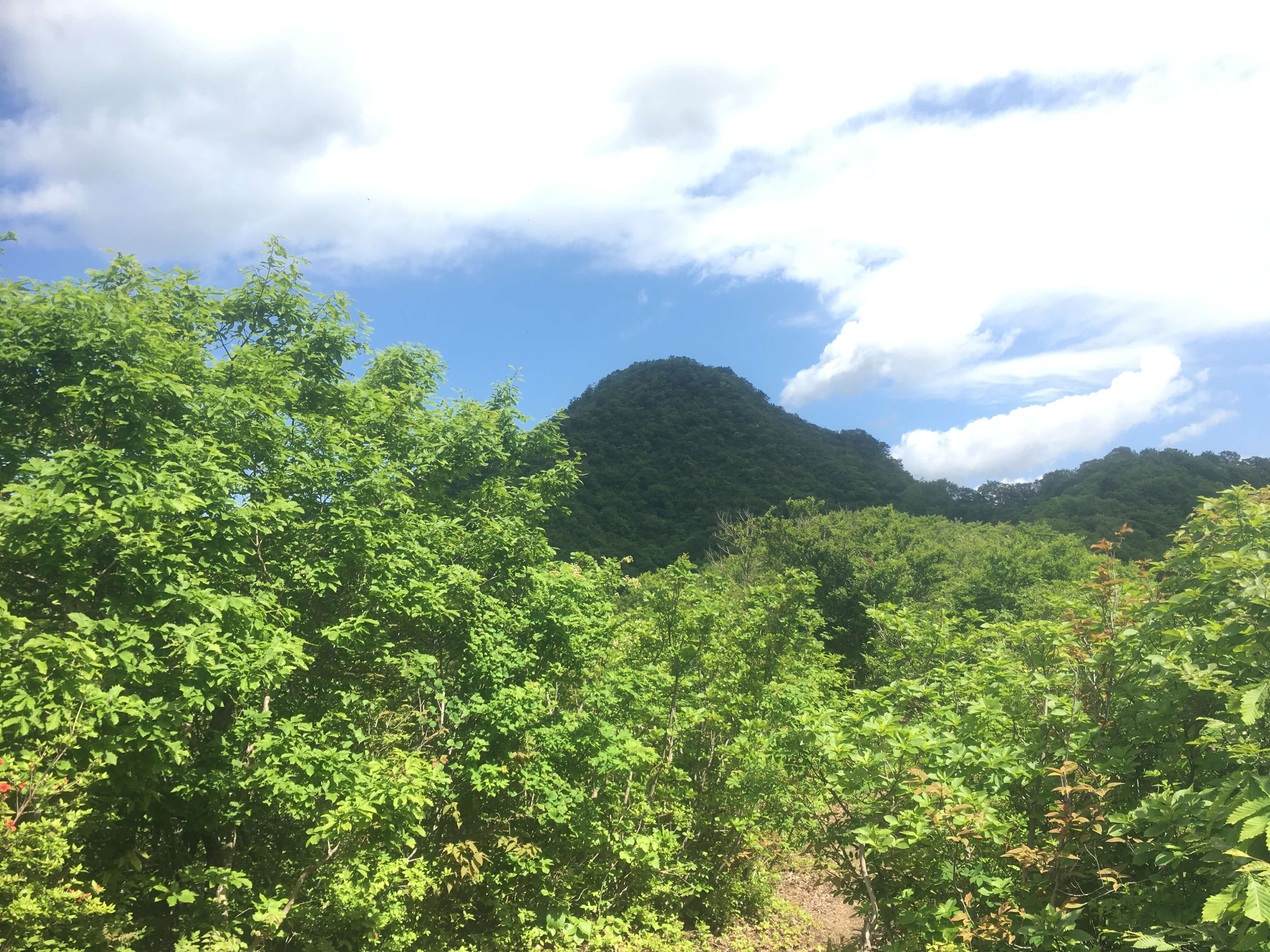 袴腰山