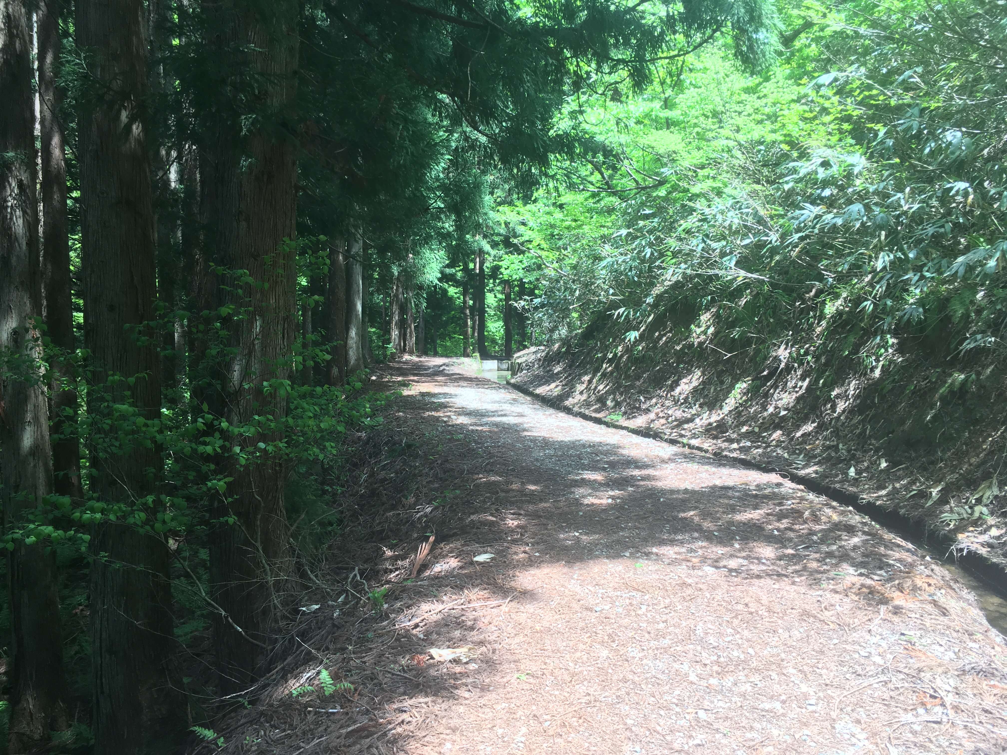 粟ヶ岳