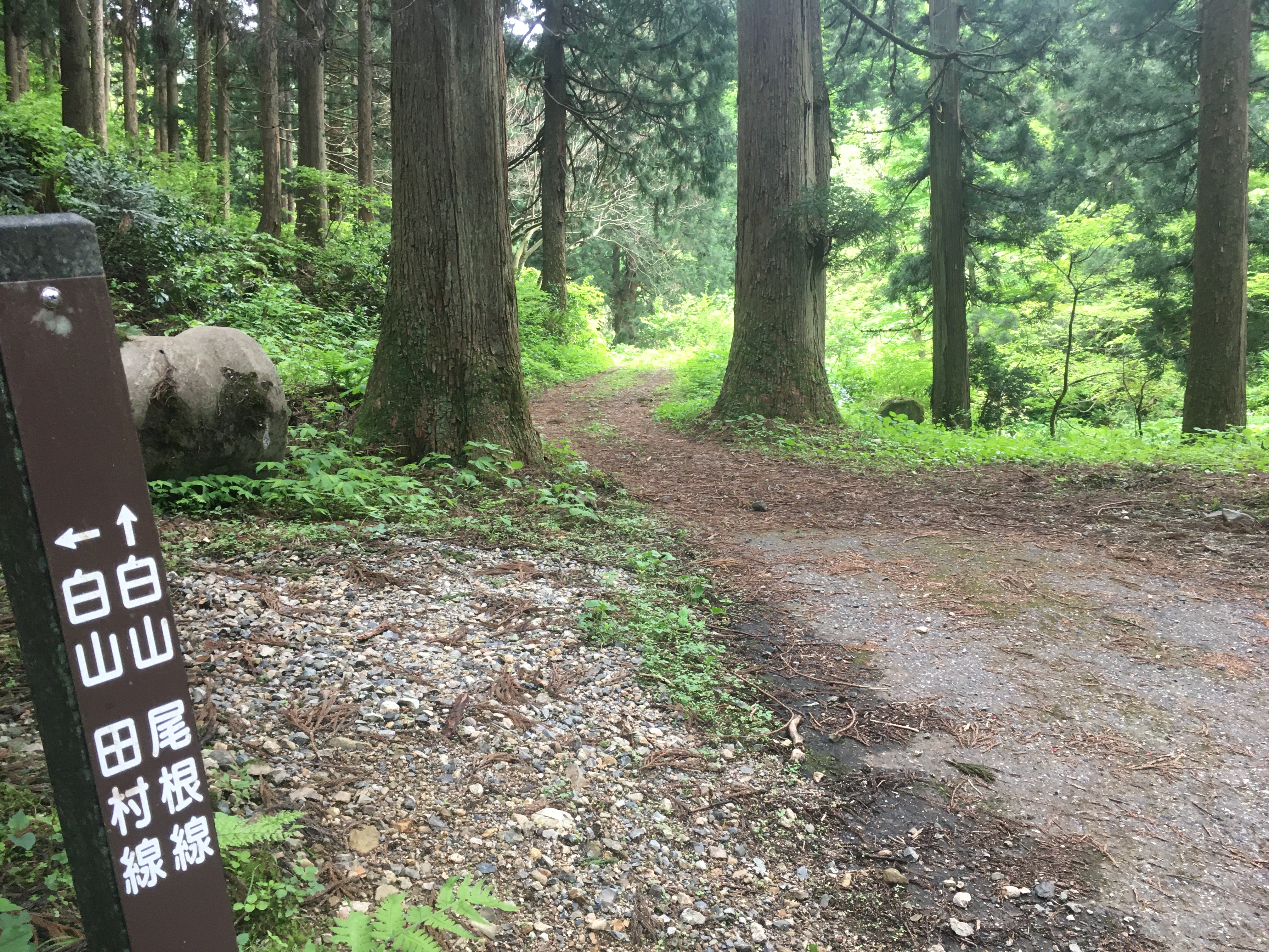 白山