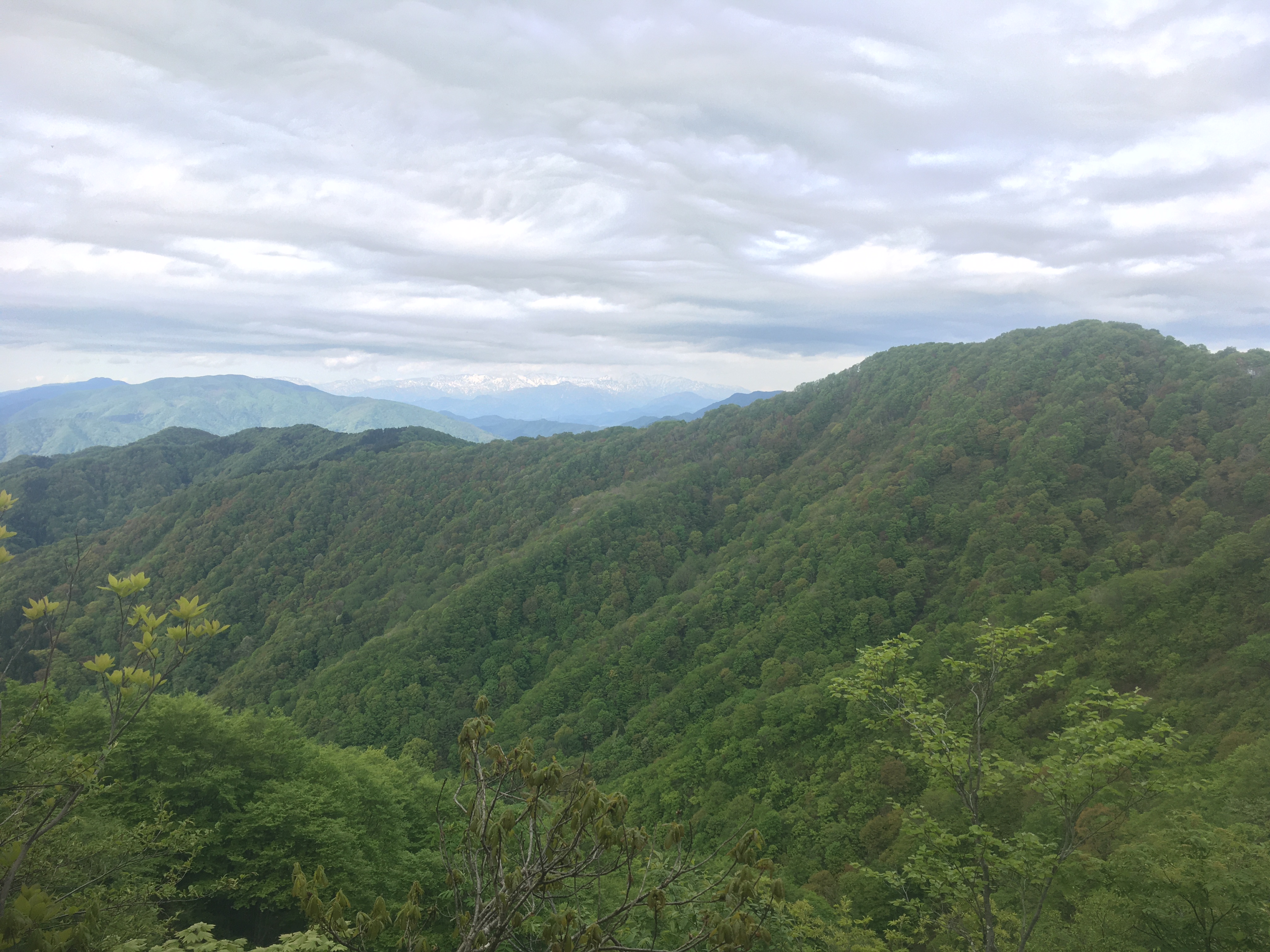 白山