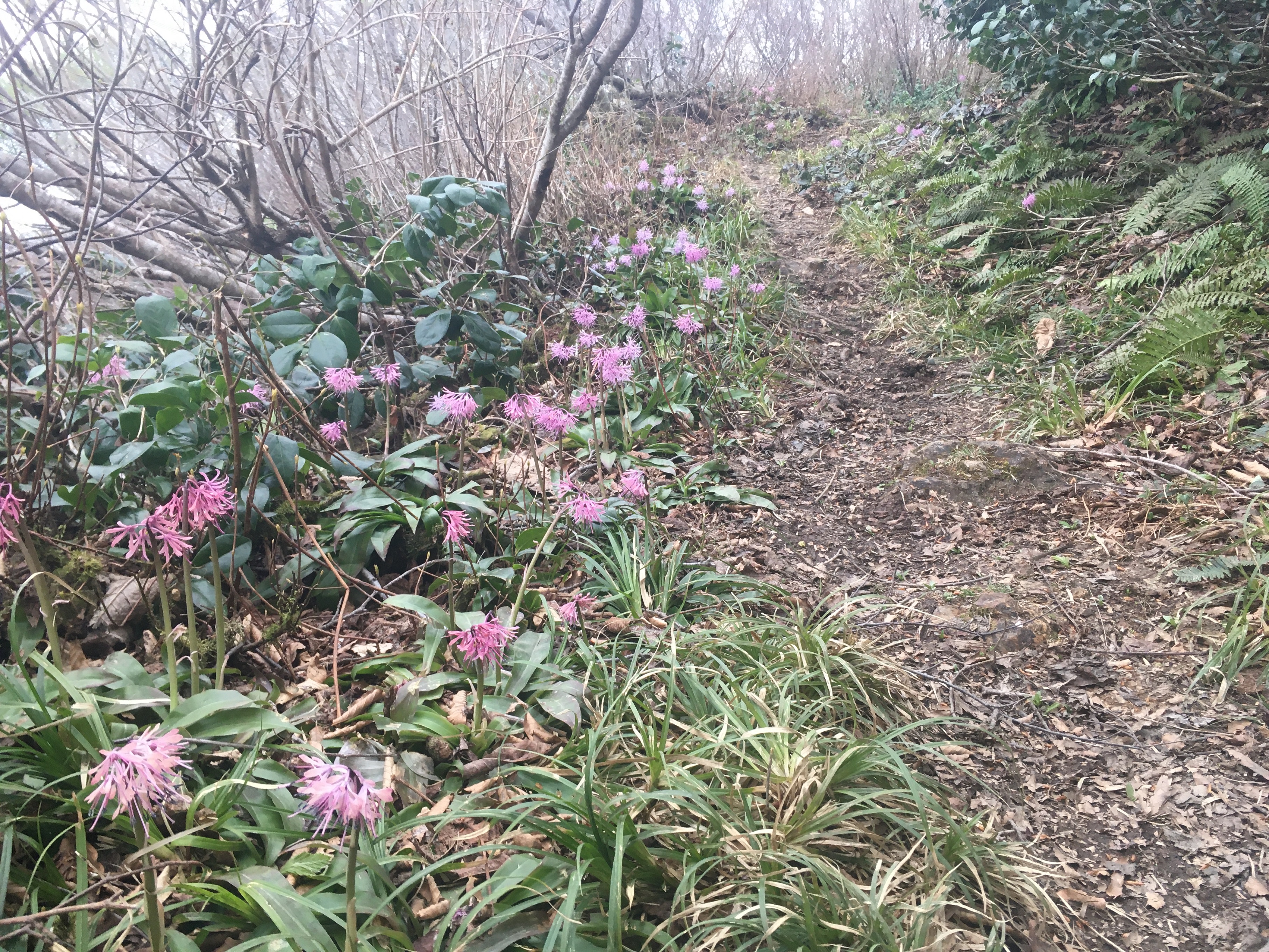 白山
