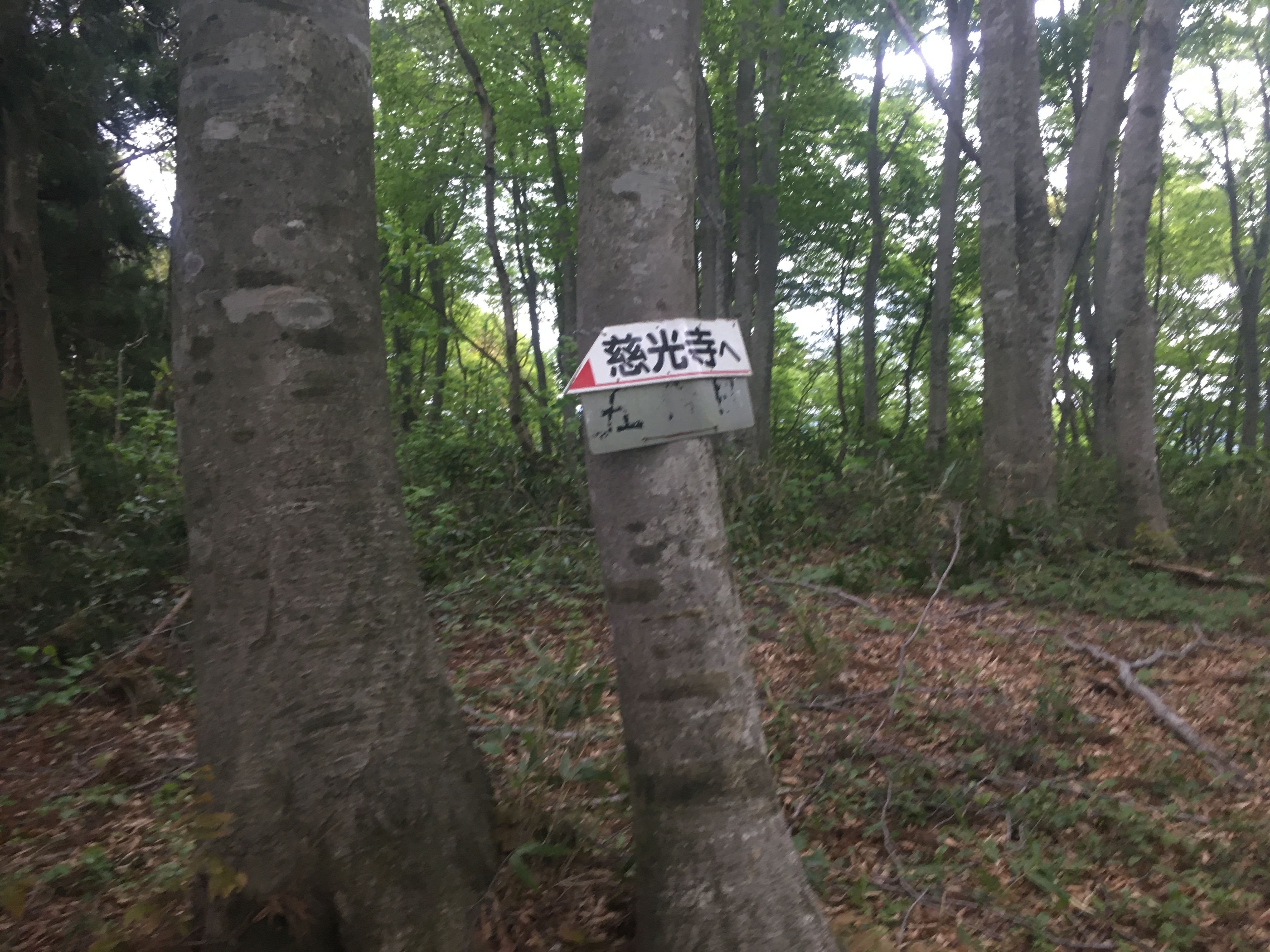 白山