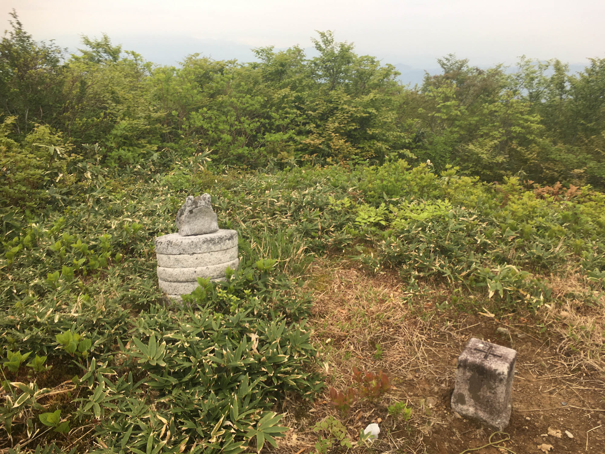 日本平山