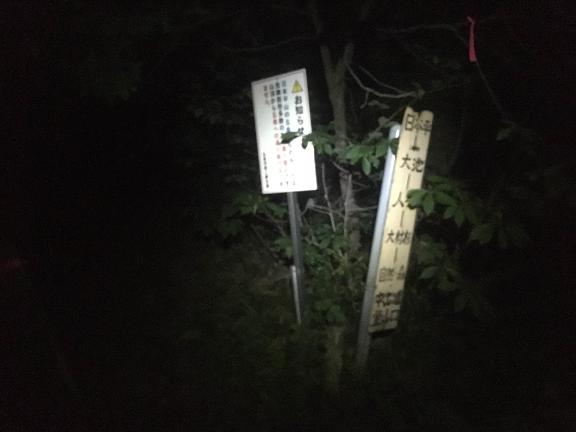 日本平山