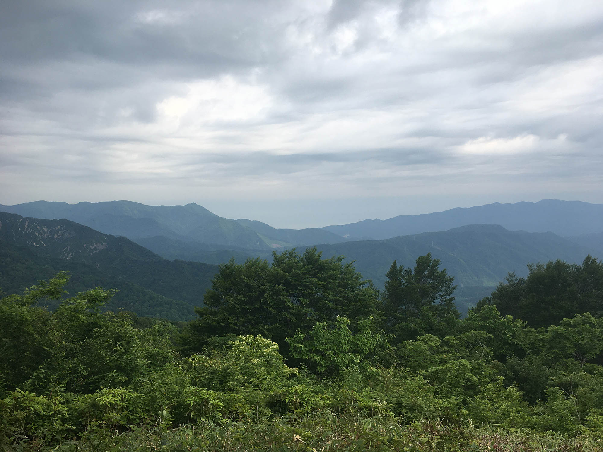 日本平山