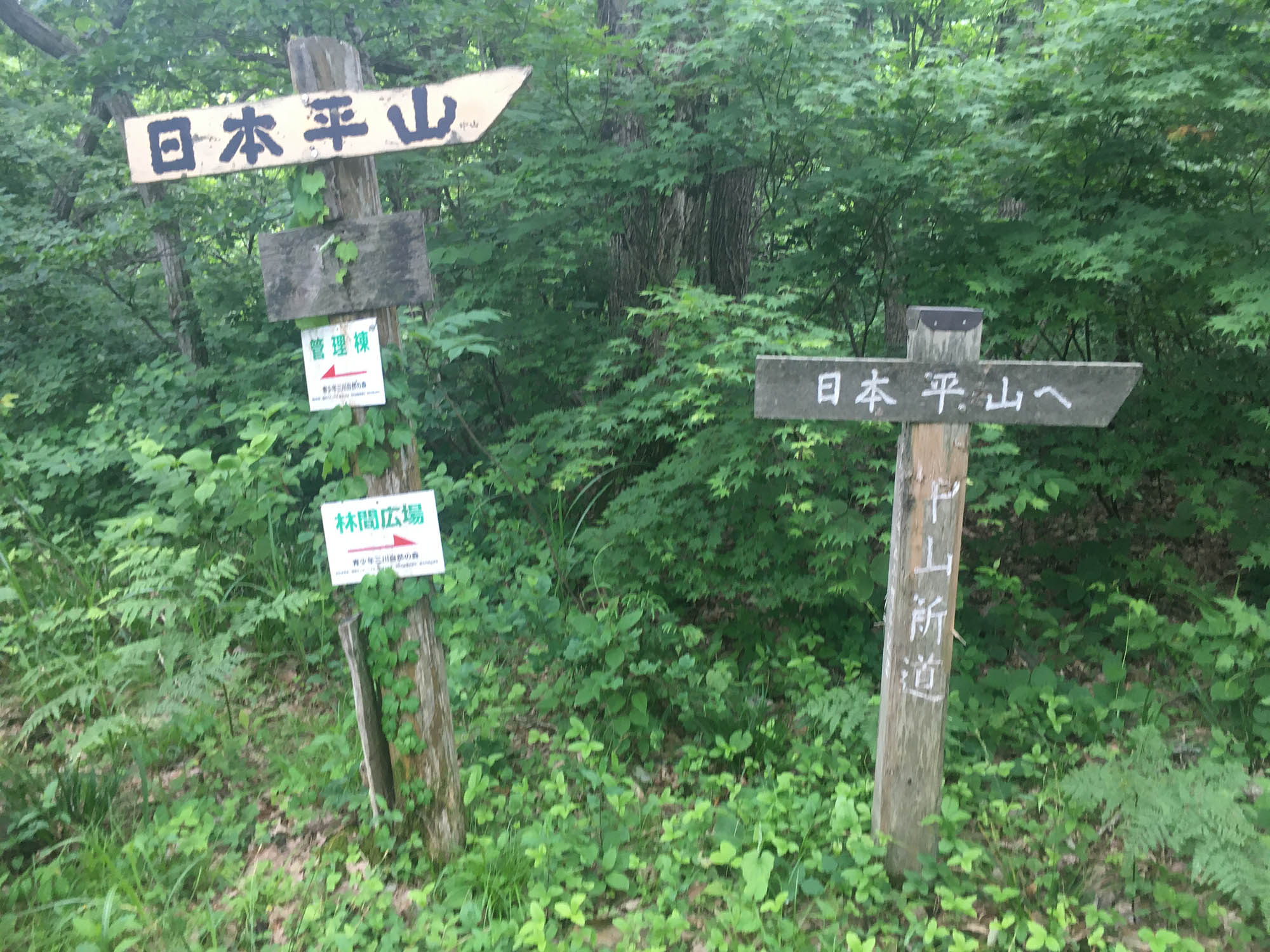 日本平山