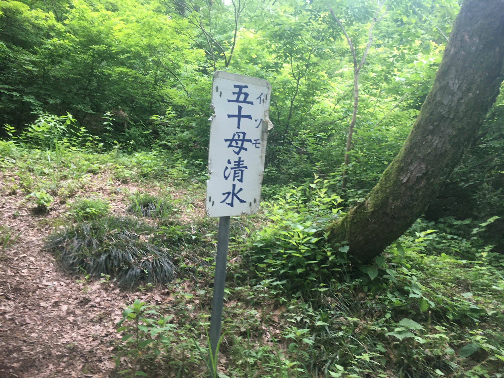 日本平山
