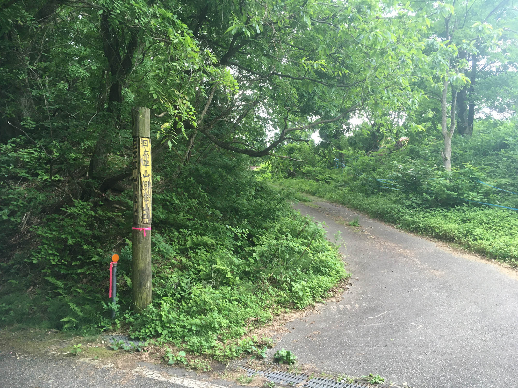 日本平山