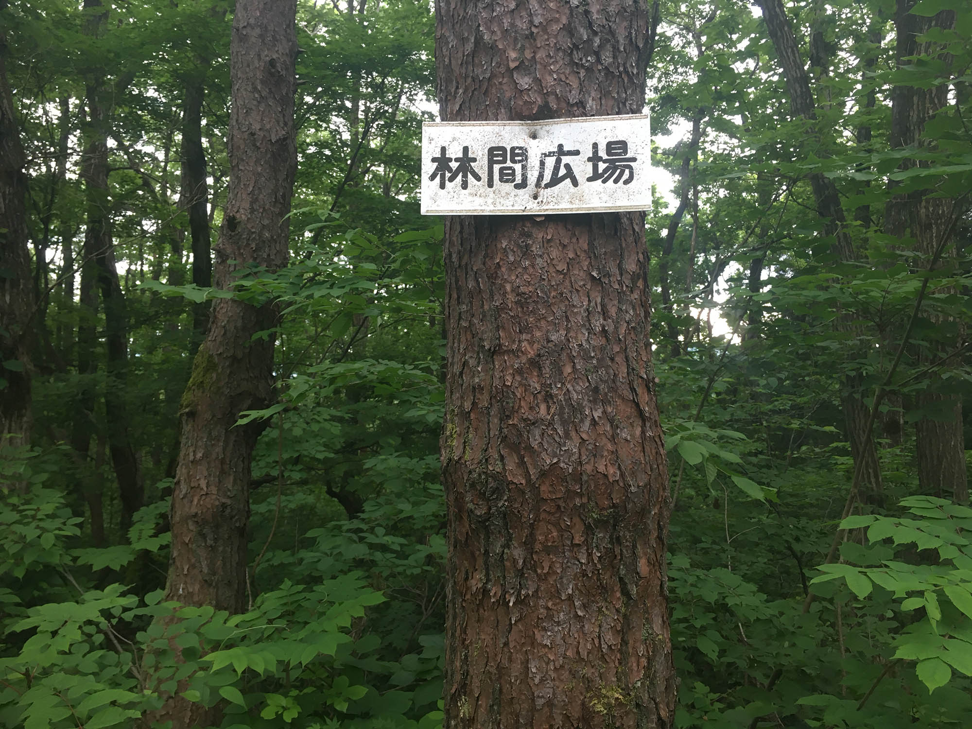 日本平山