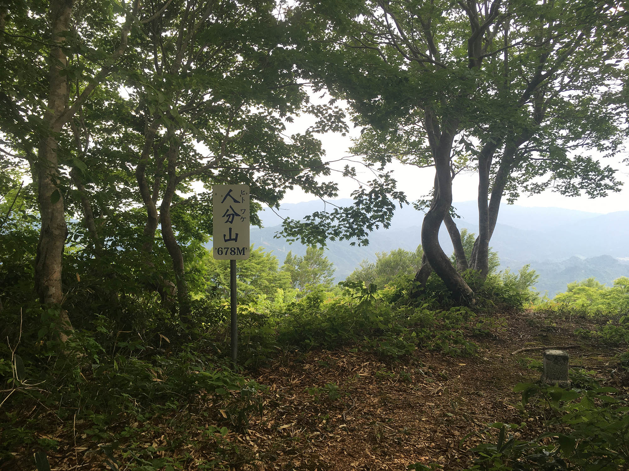日本平山