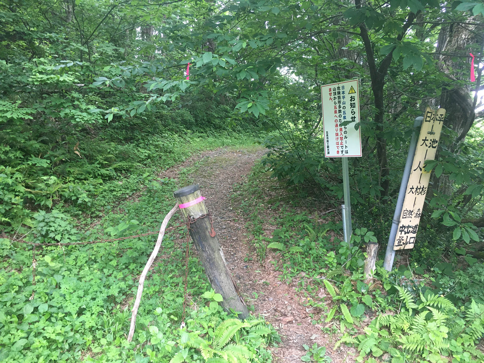 日本平山