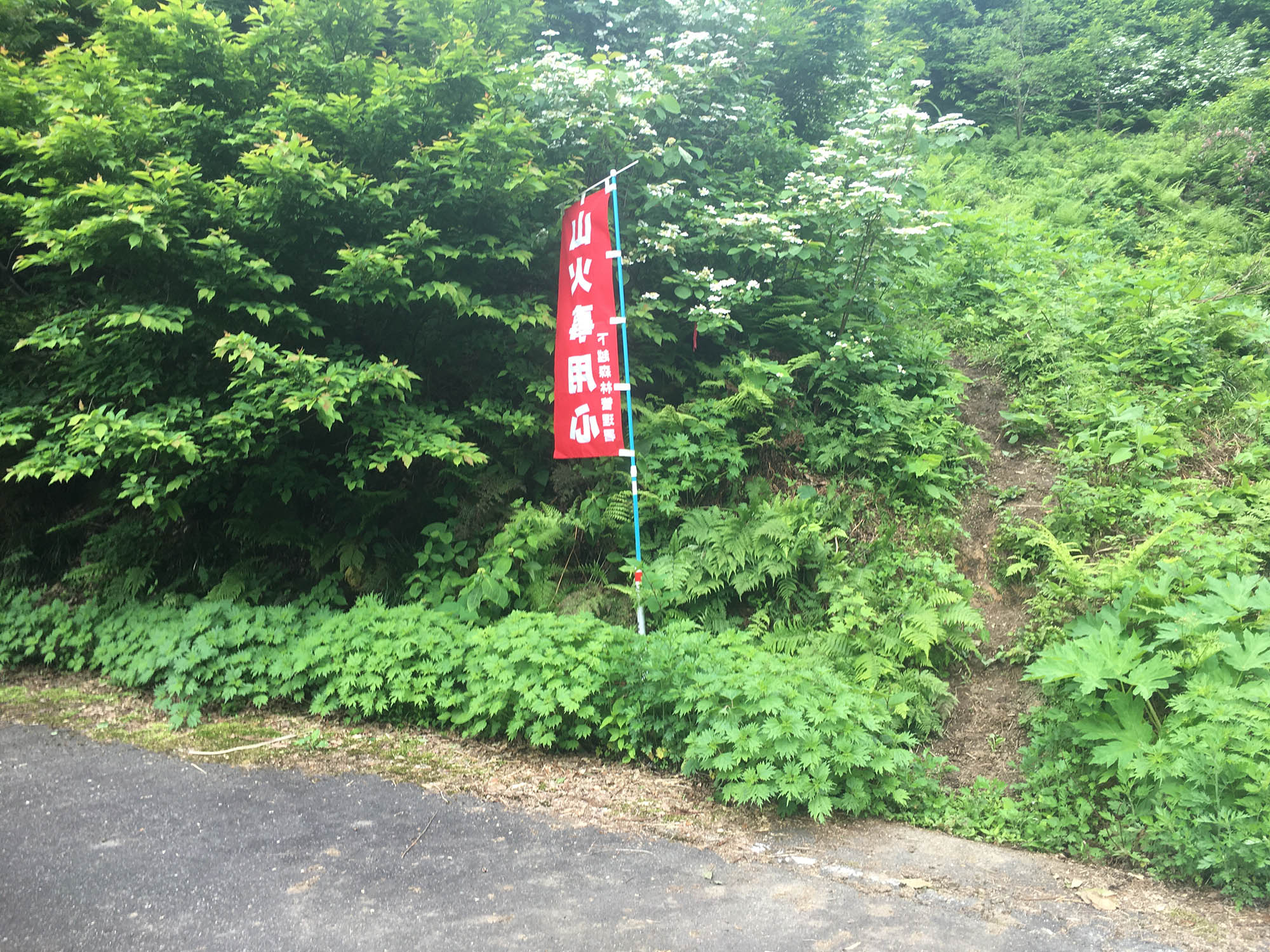 銀太郎山