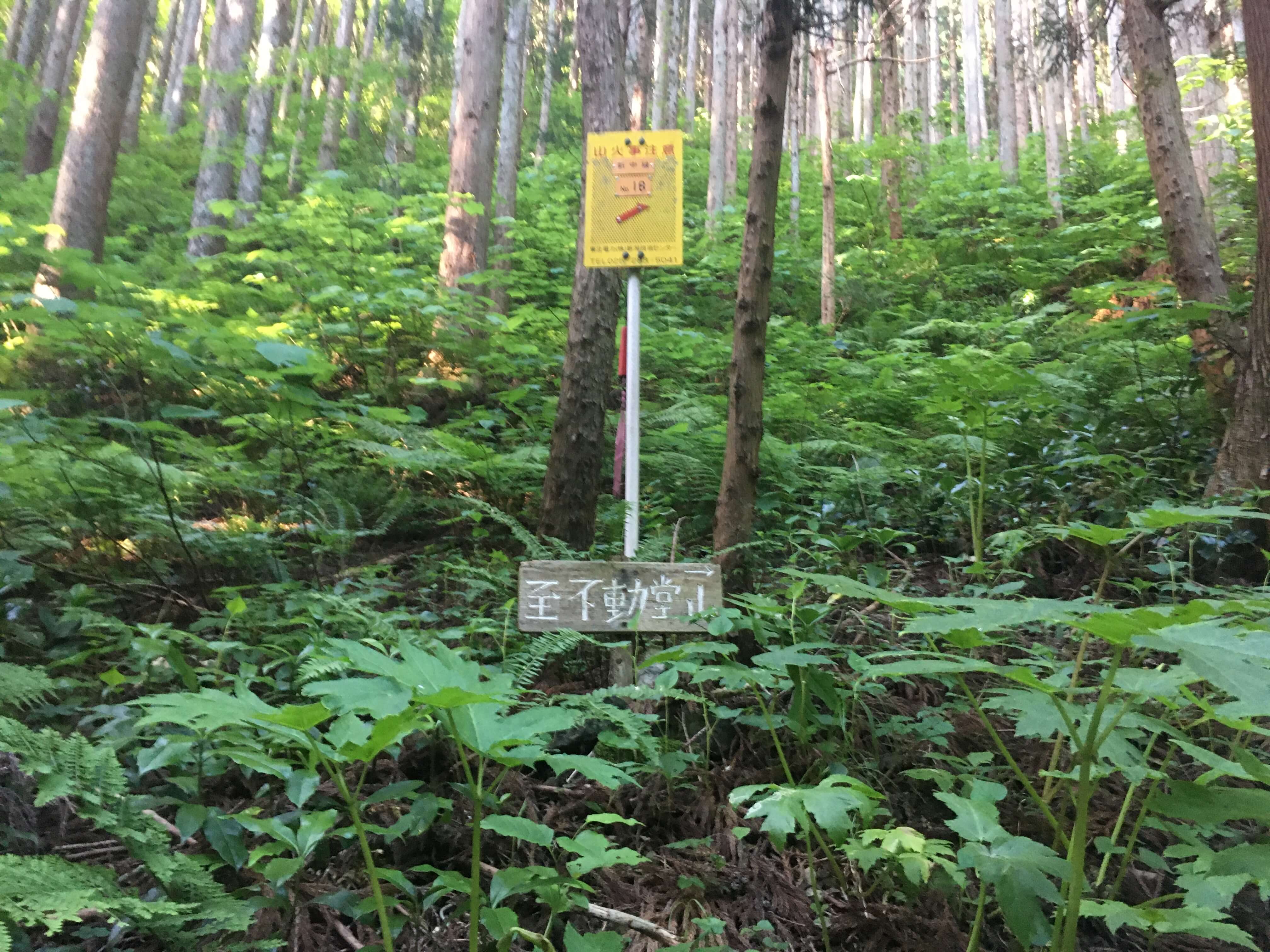 不動堂山
