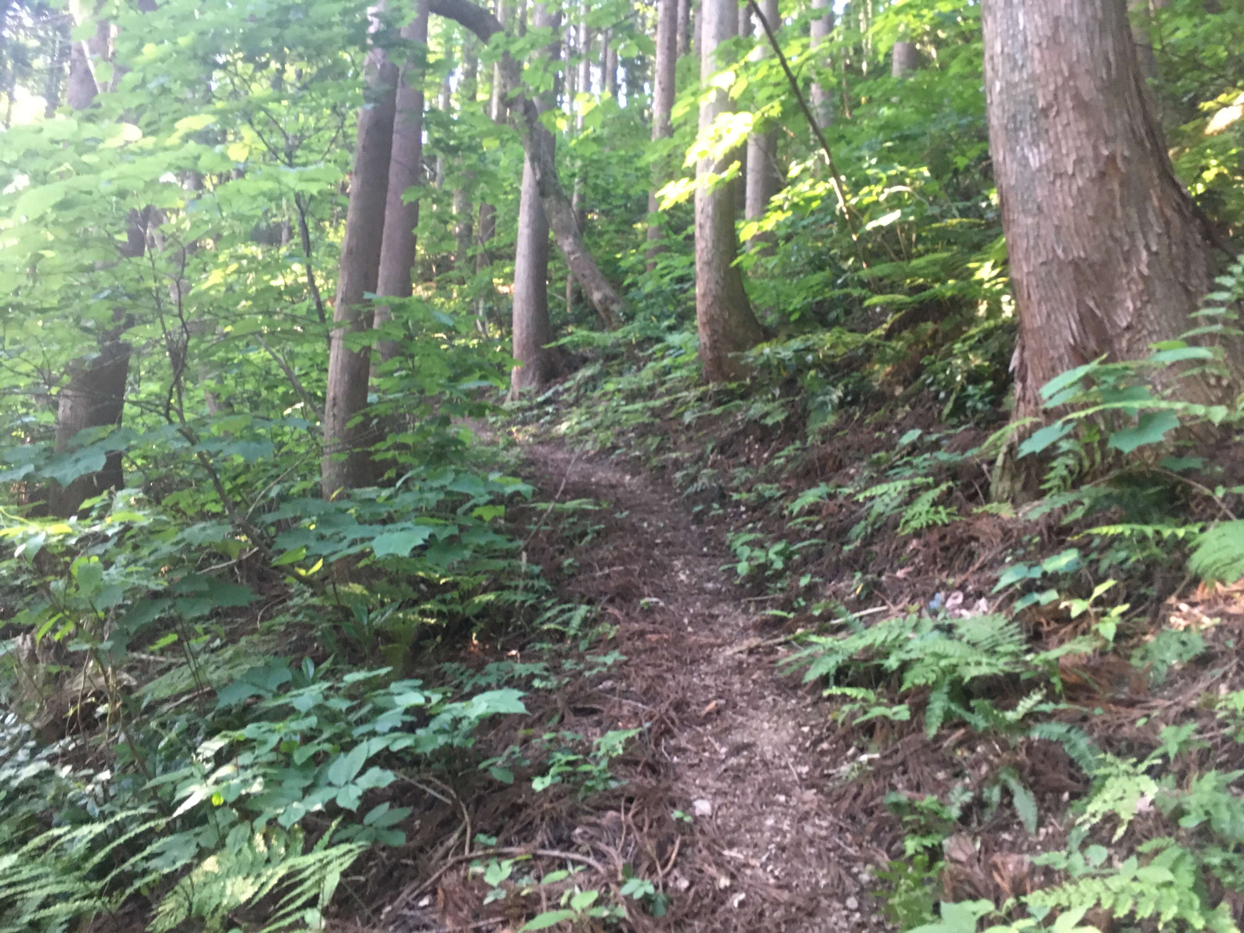 不動堂山