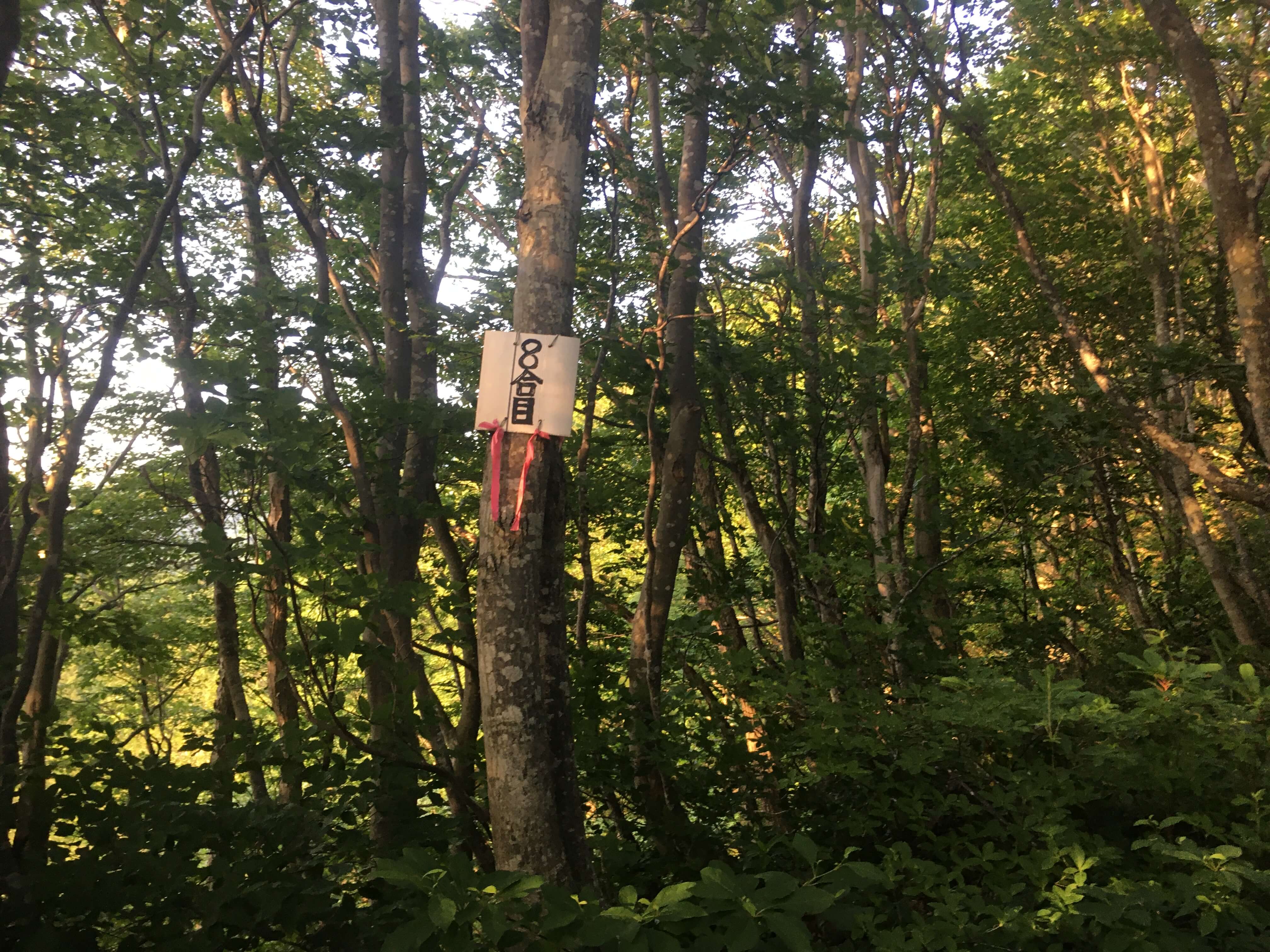 不動堂山