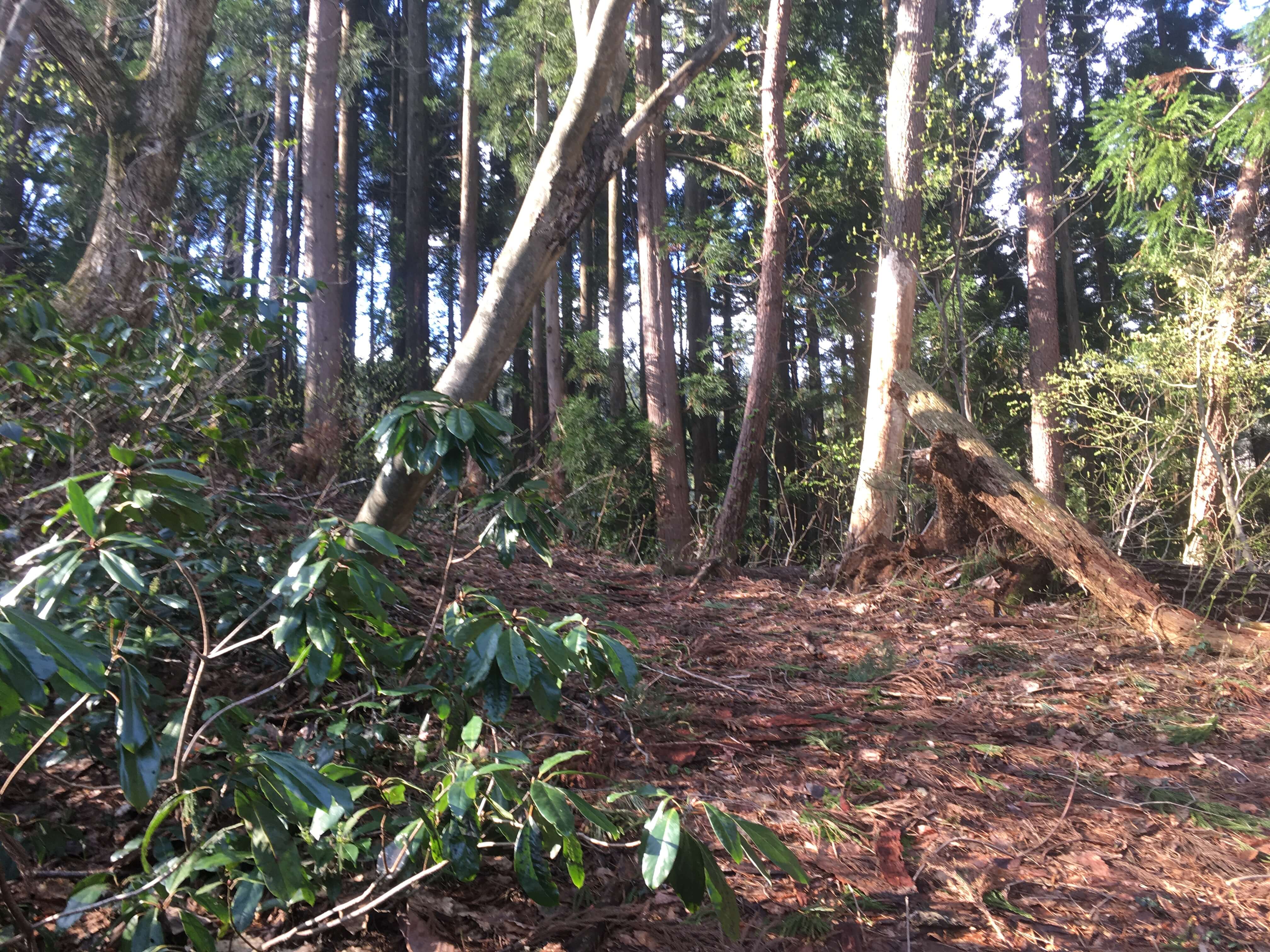 吉祥嶽