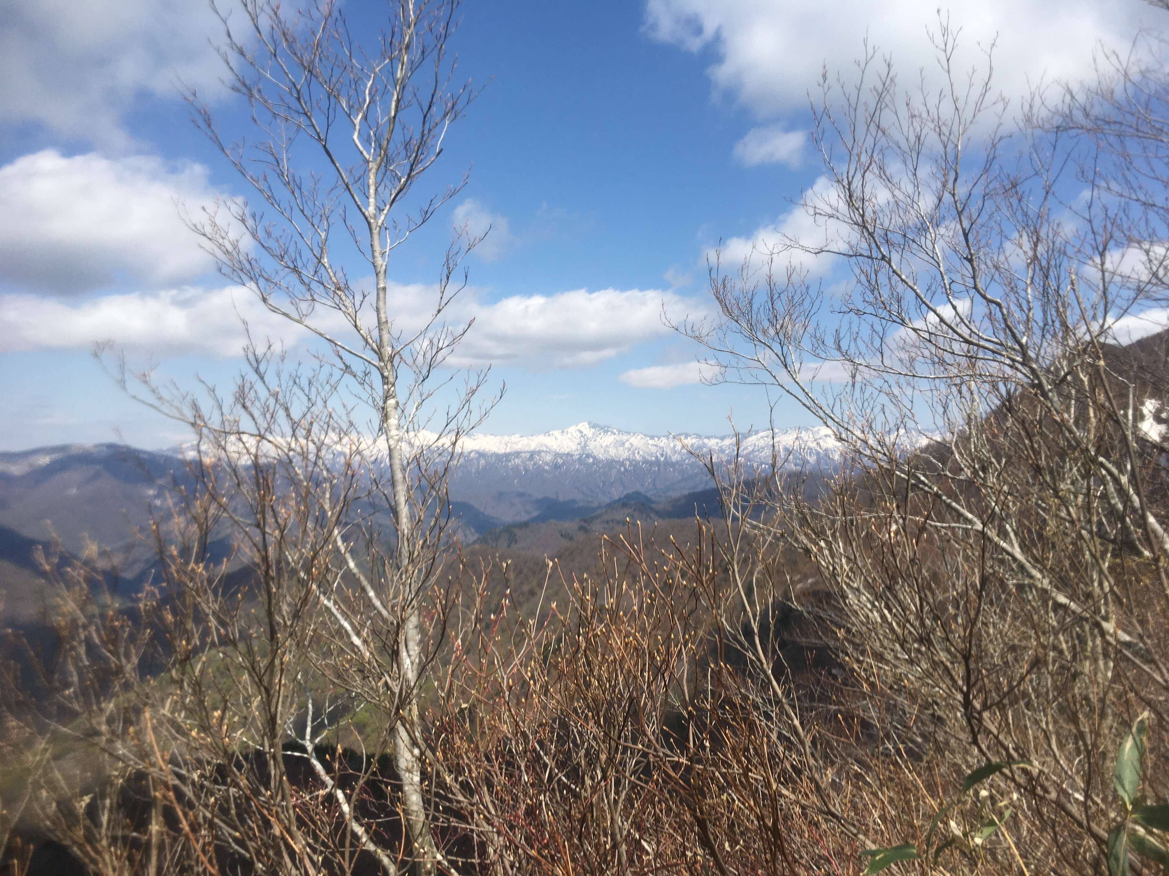 鷲ヶ巣山