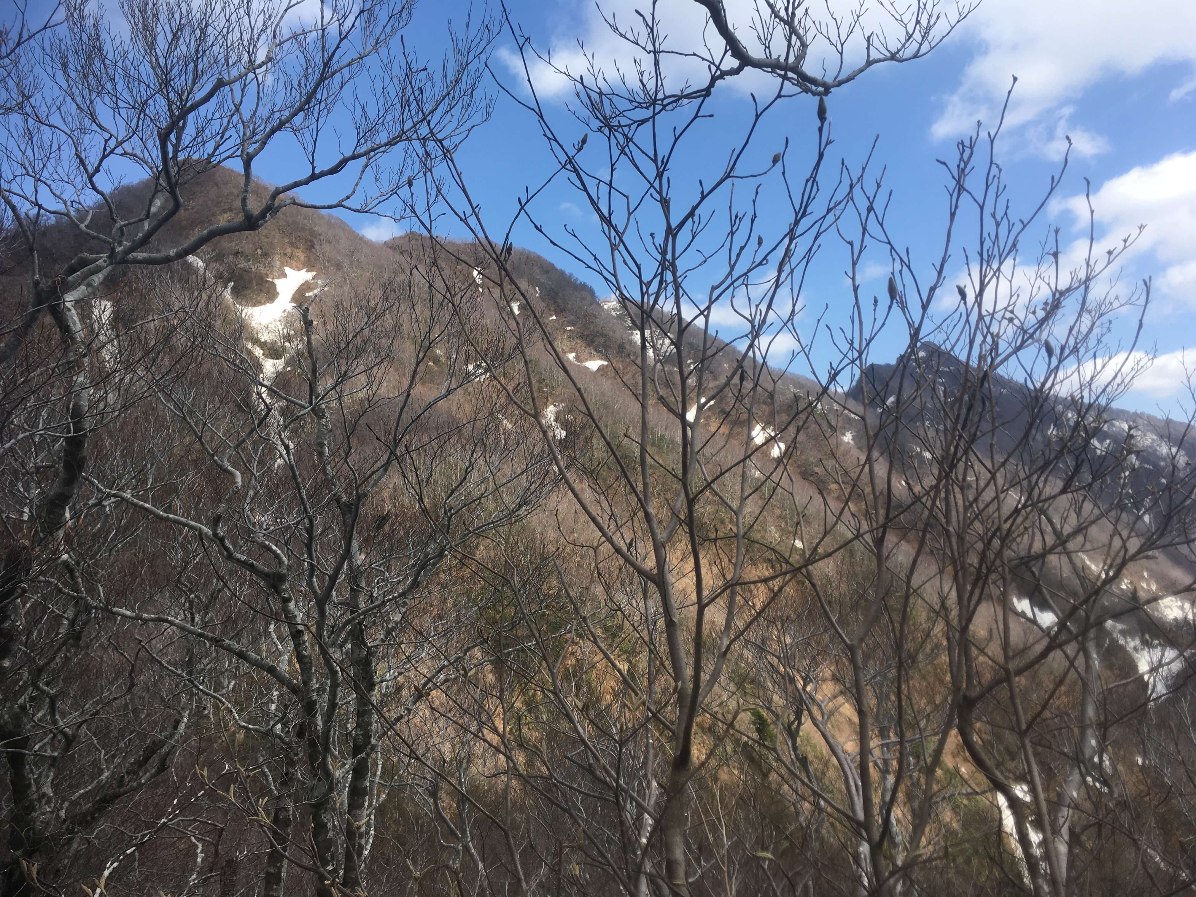 鷲ヶ巣山