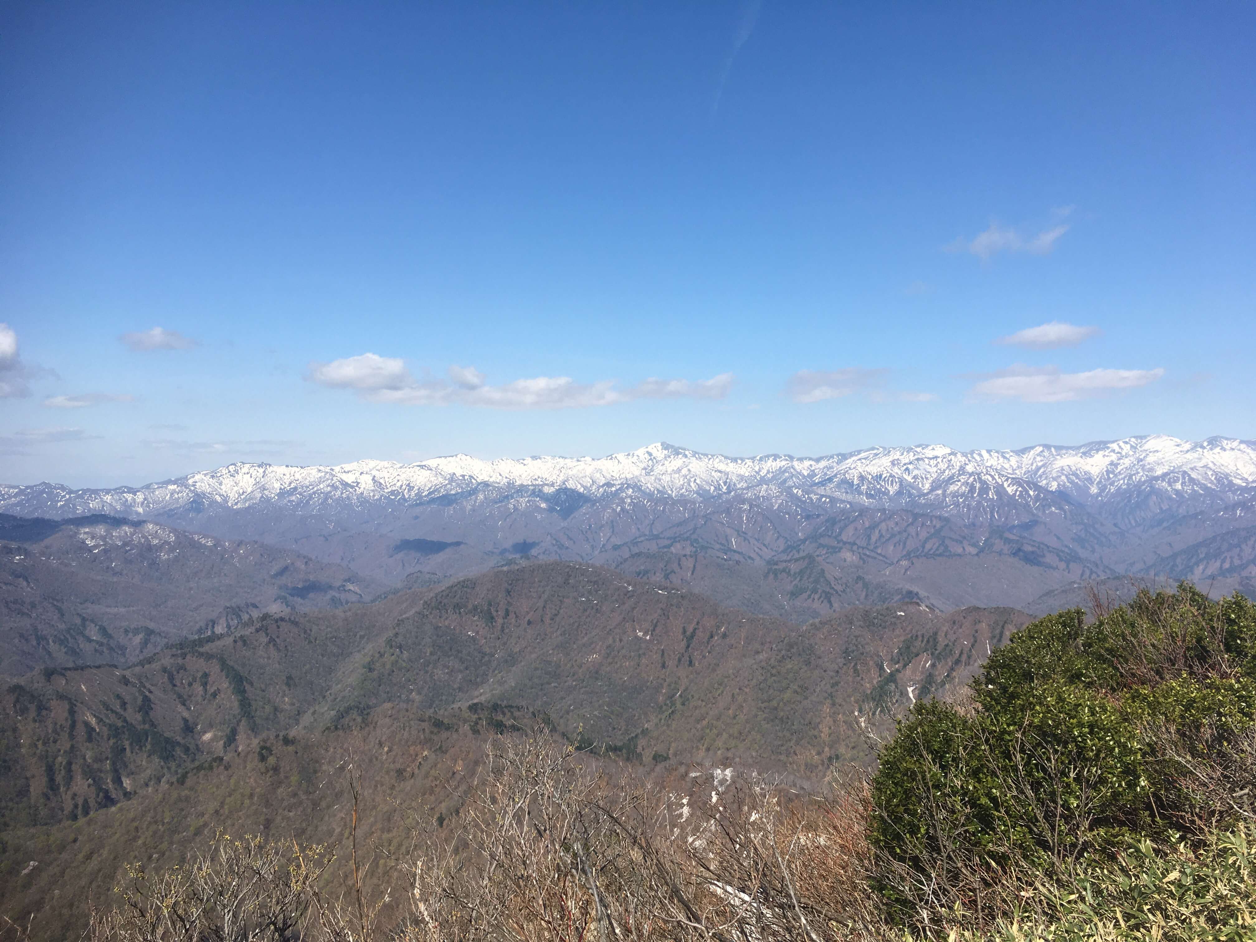 鷲ヶ巣山
