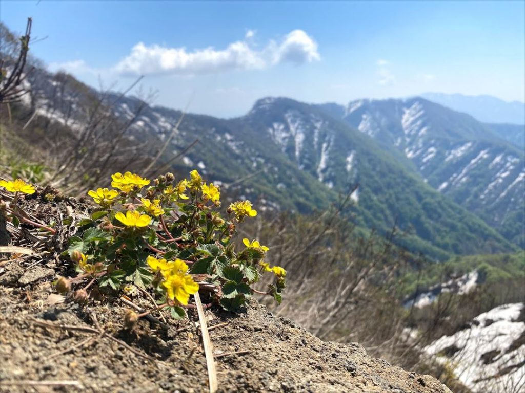 米山