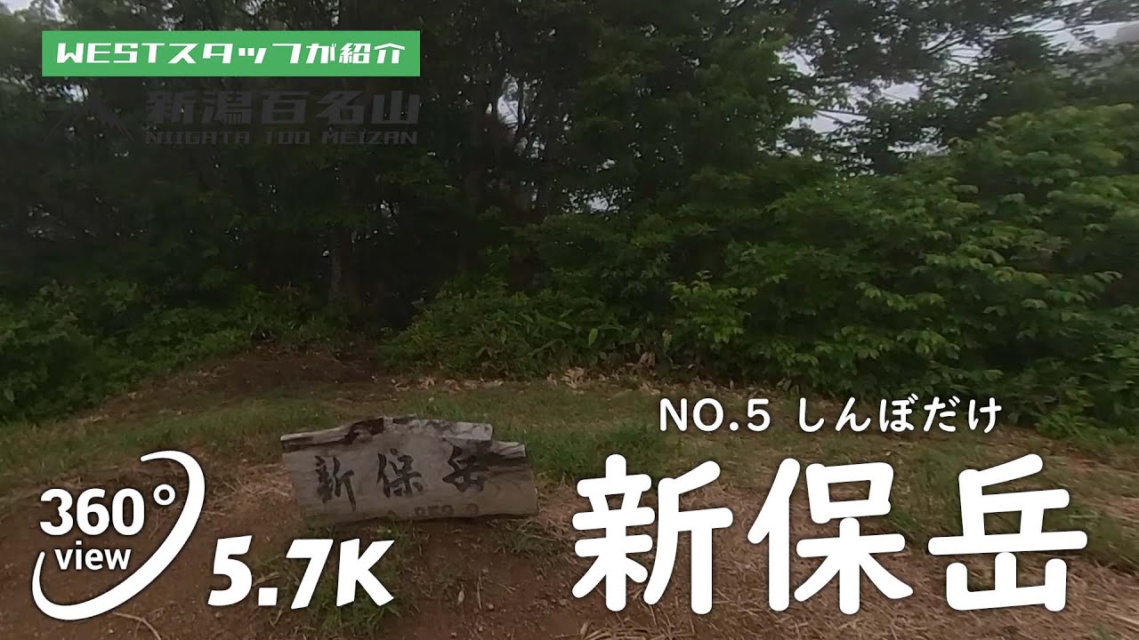 新保岳