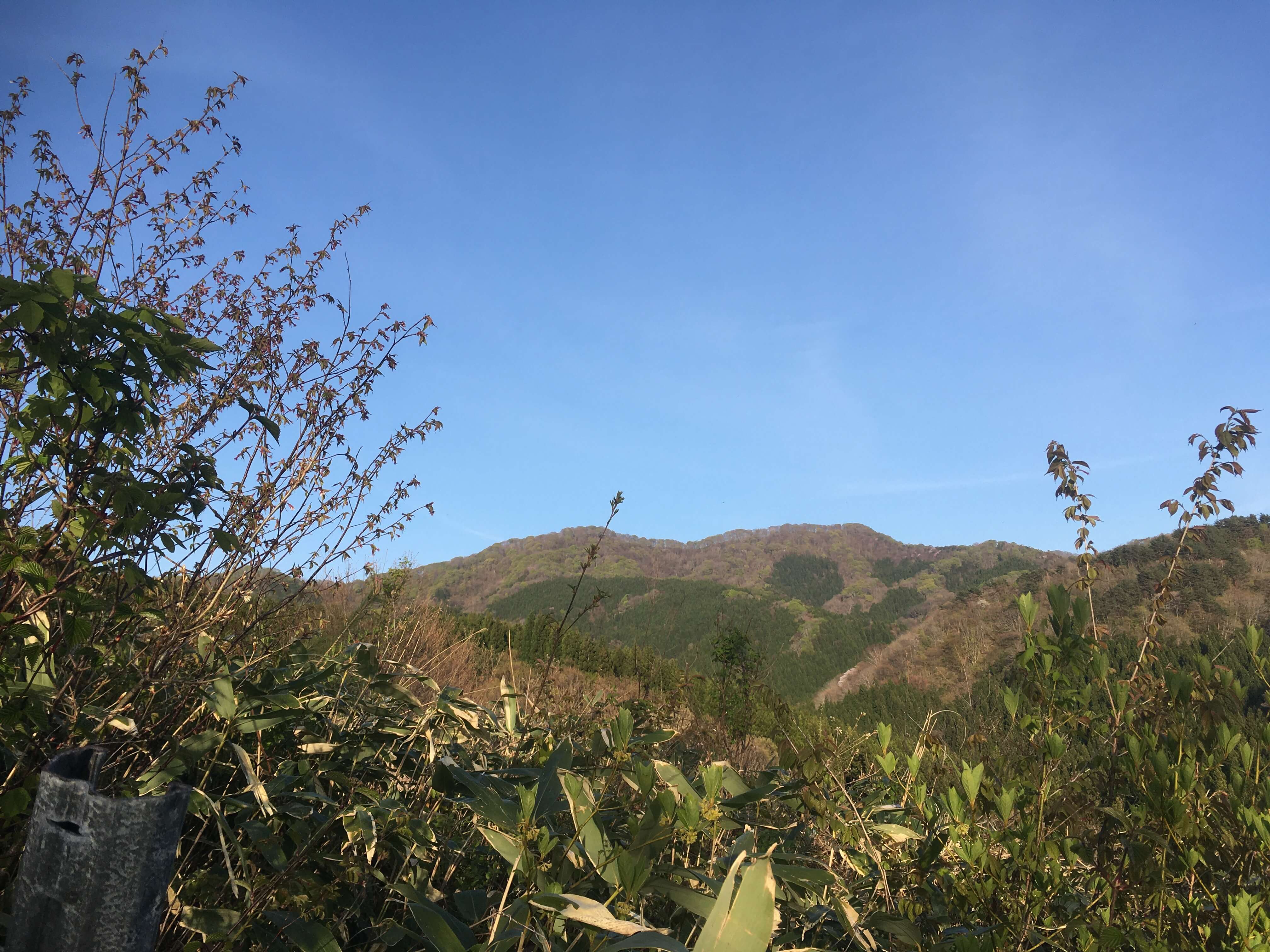 大平山