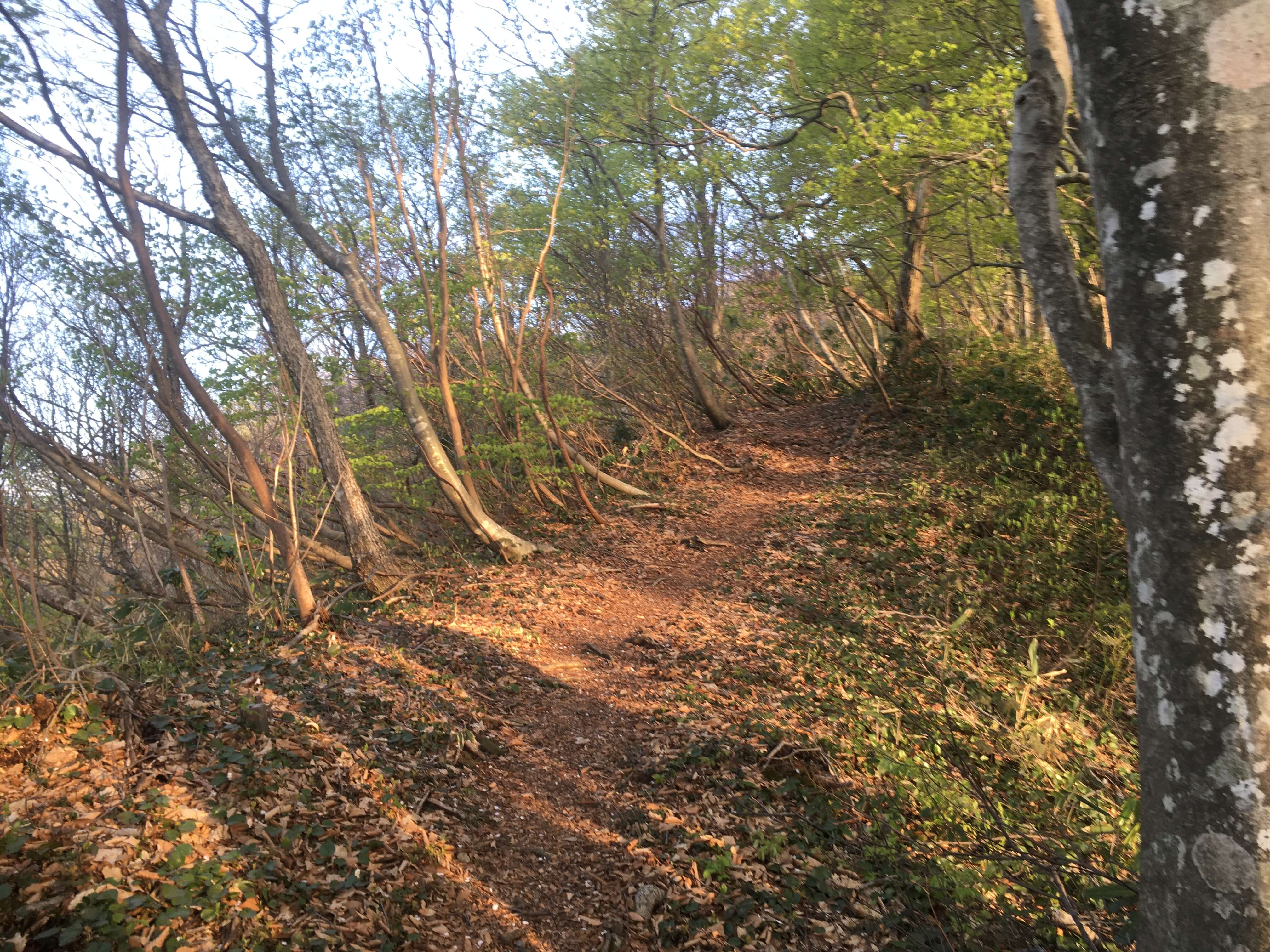大平山