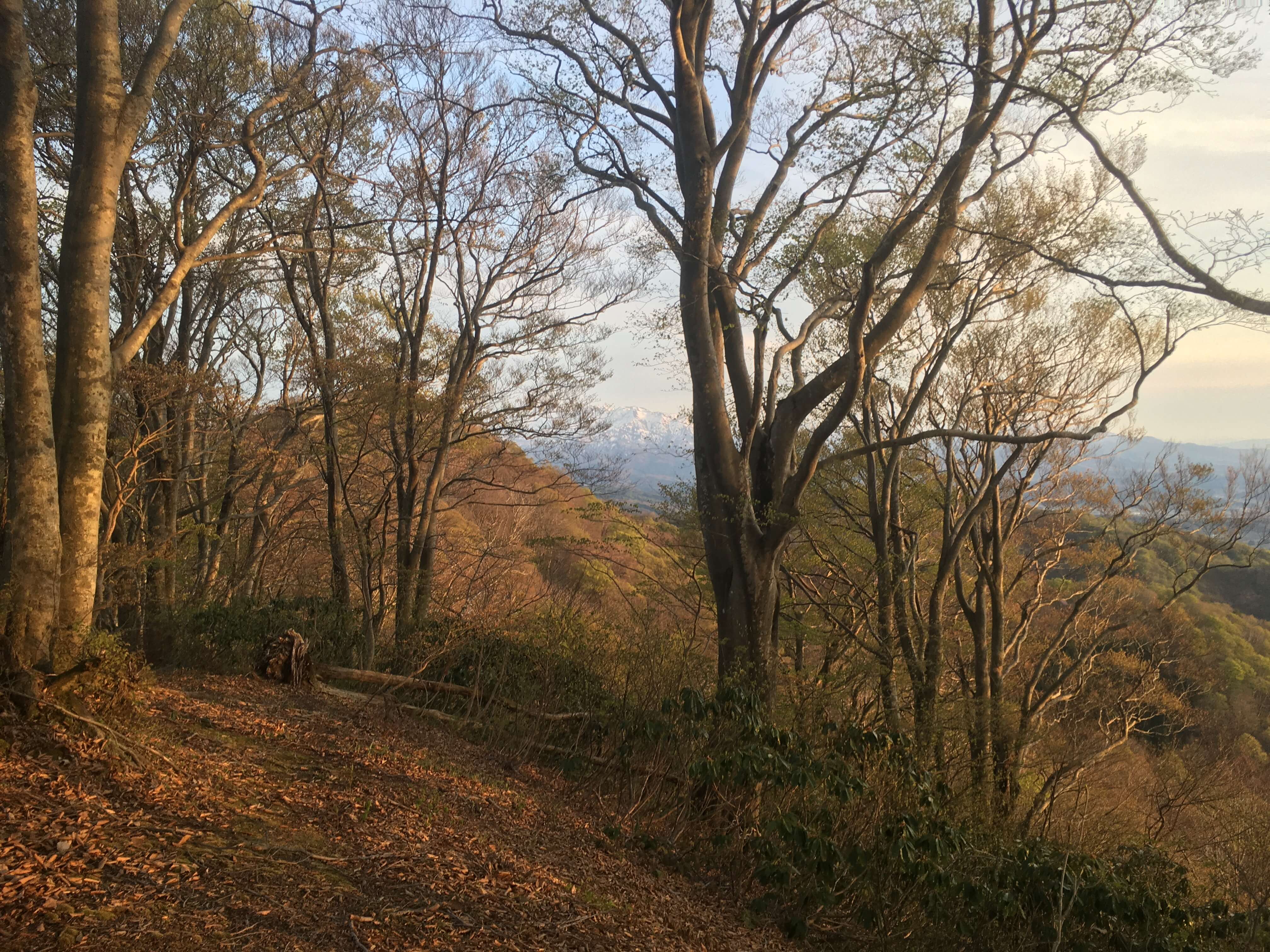 大平山