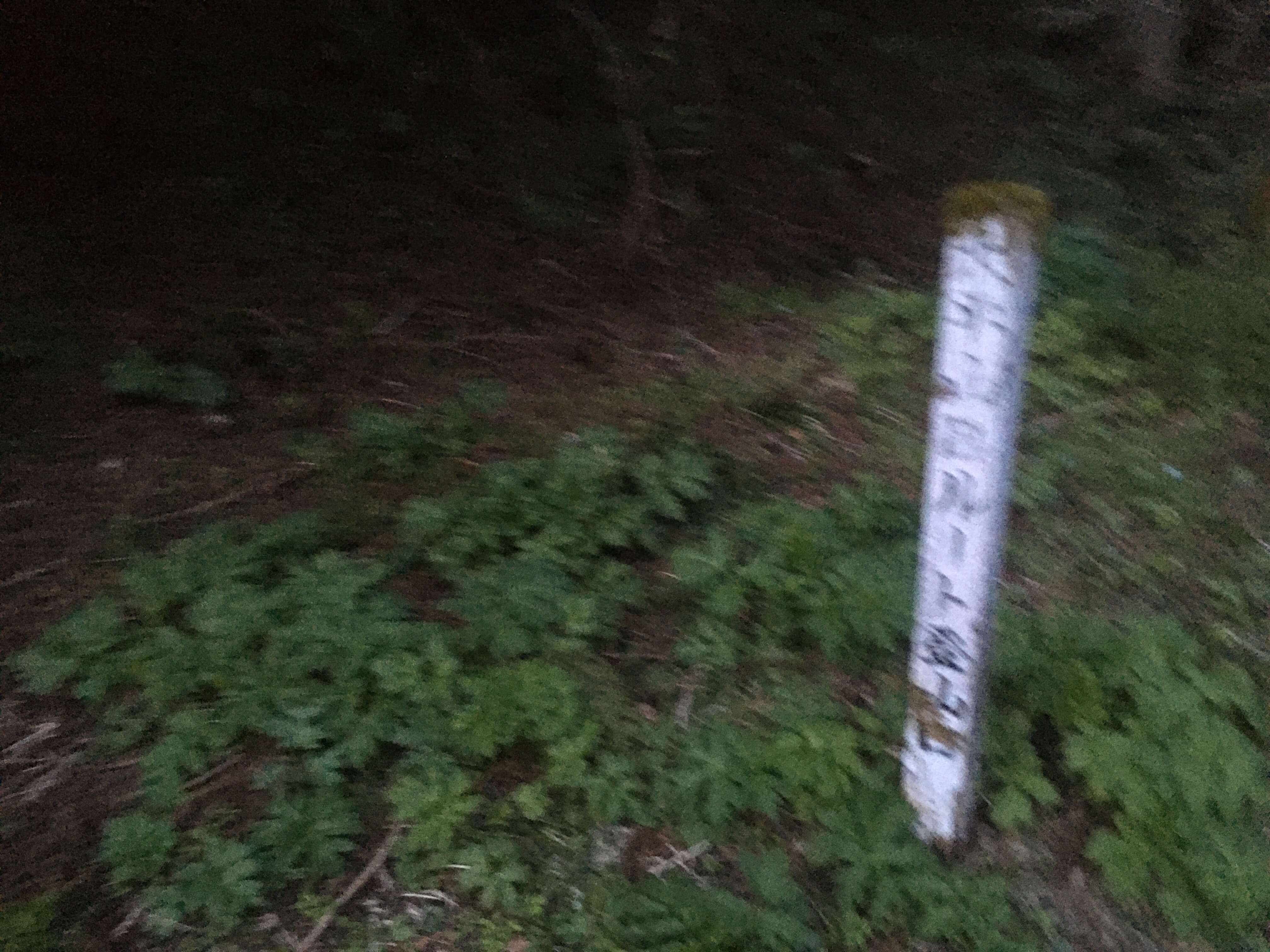 大平山
