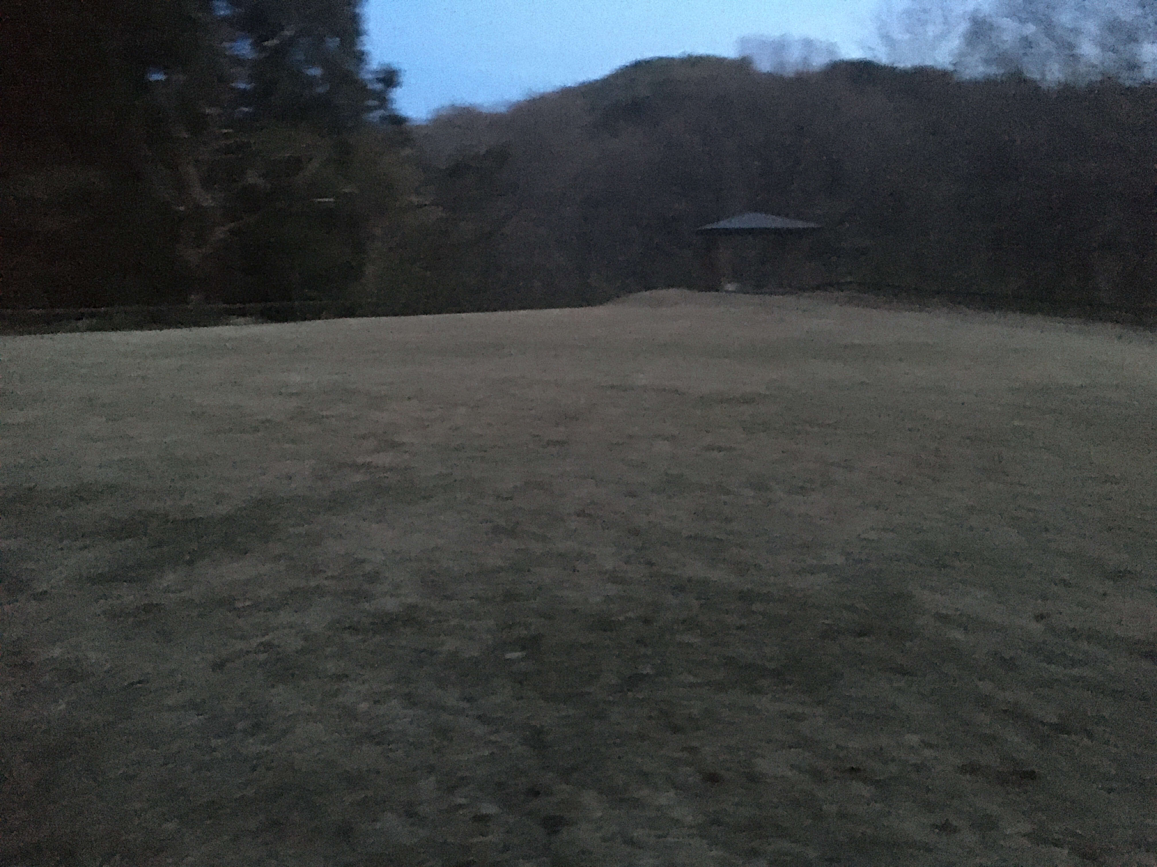 大平山