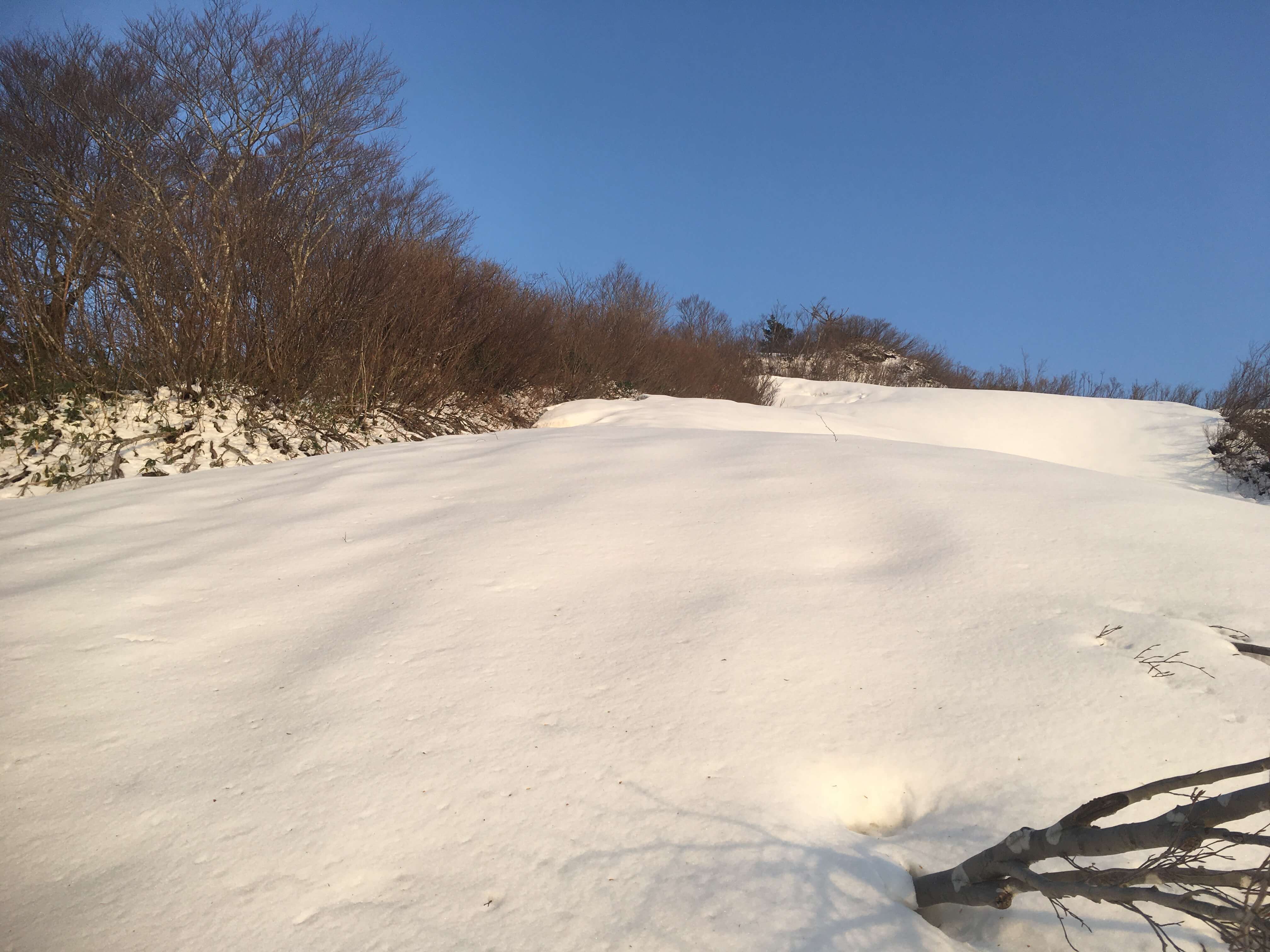 矢筈岳
