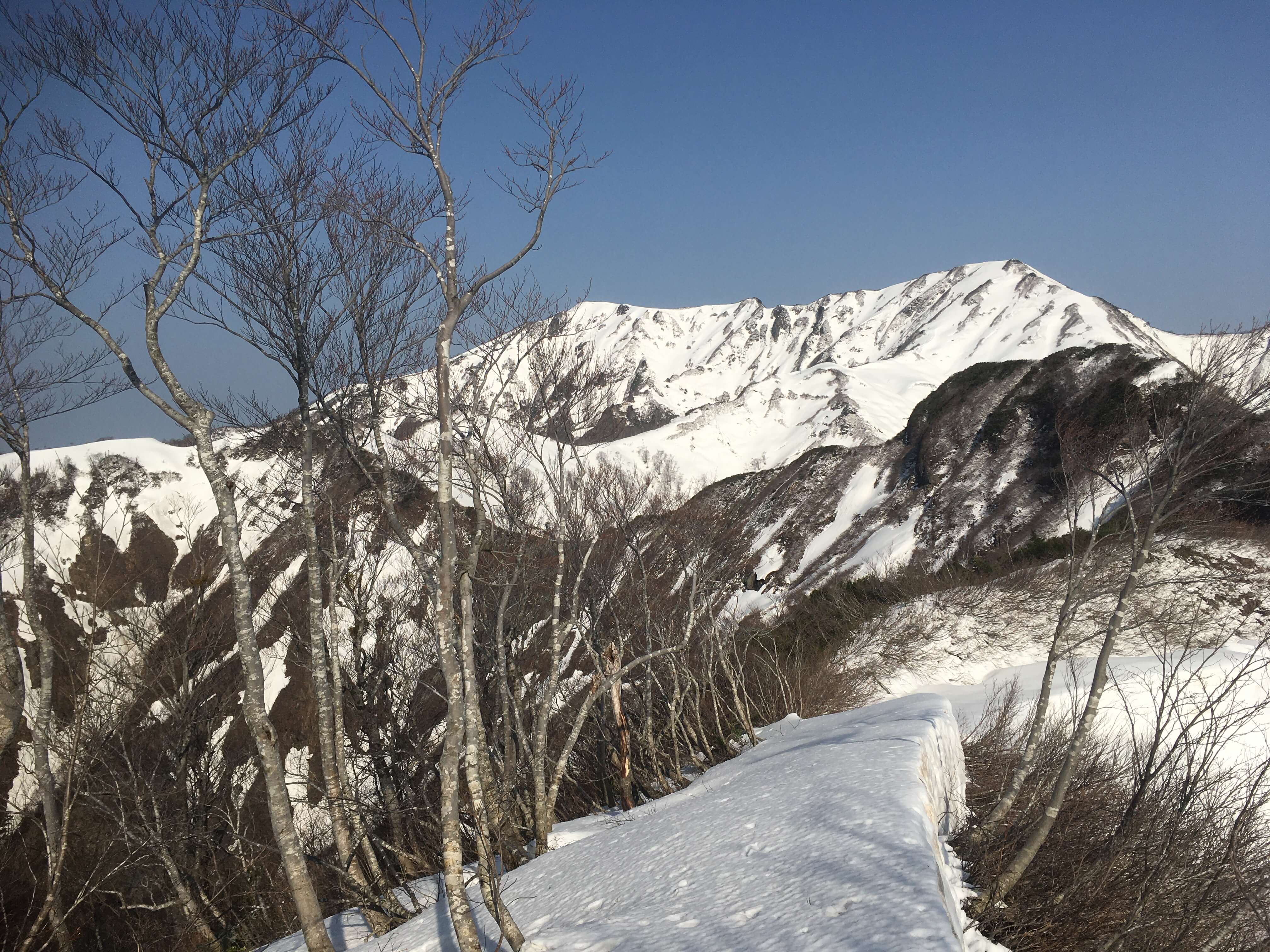 矢筈岳