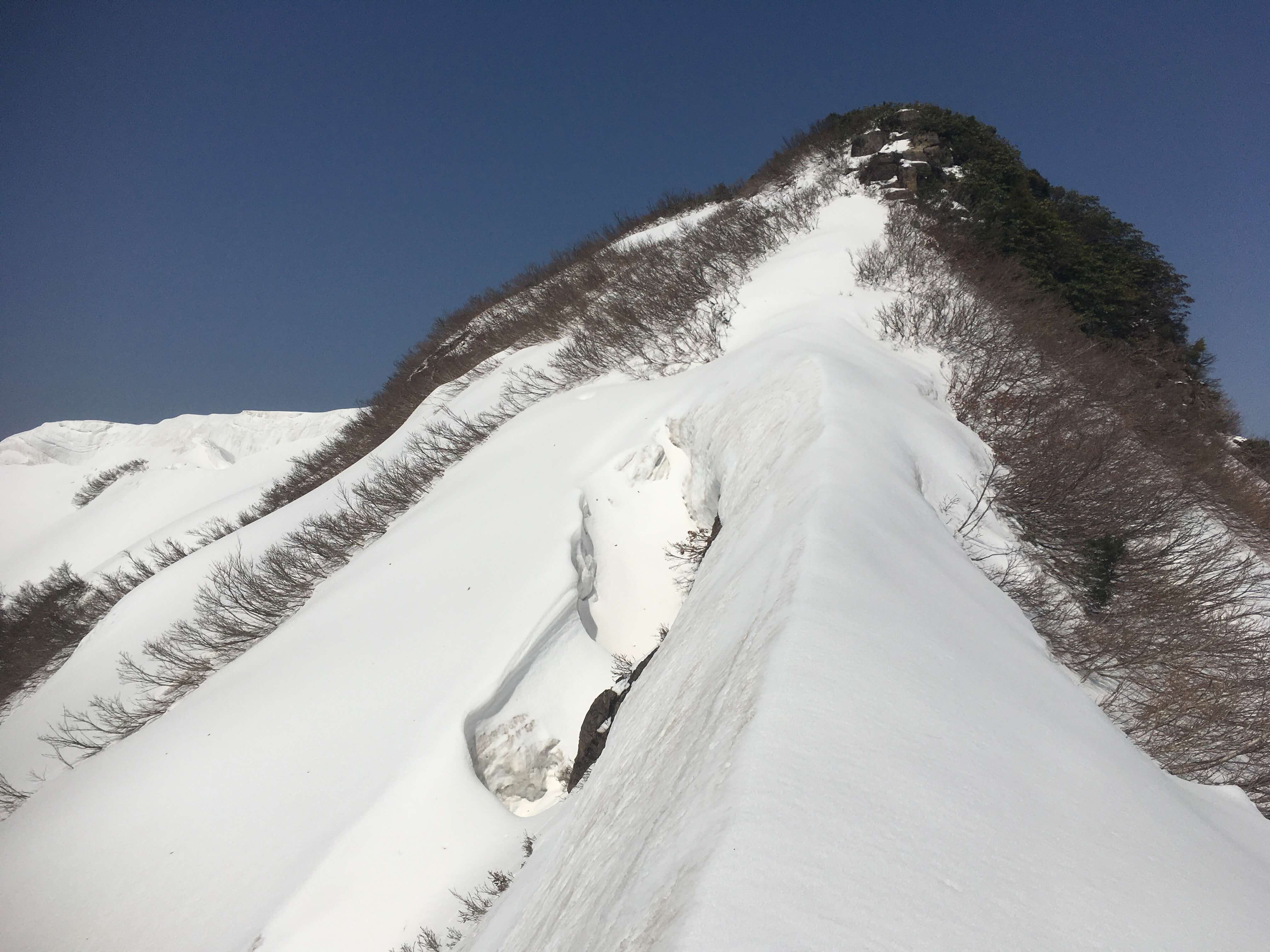 矢筈岳