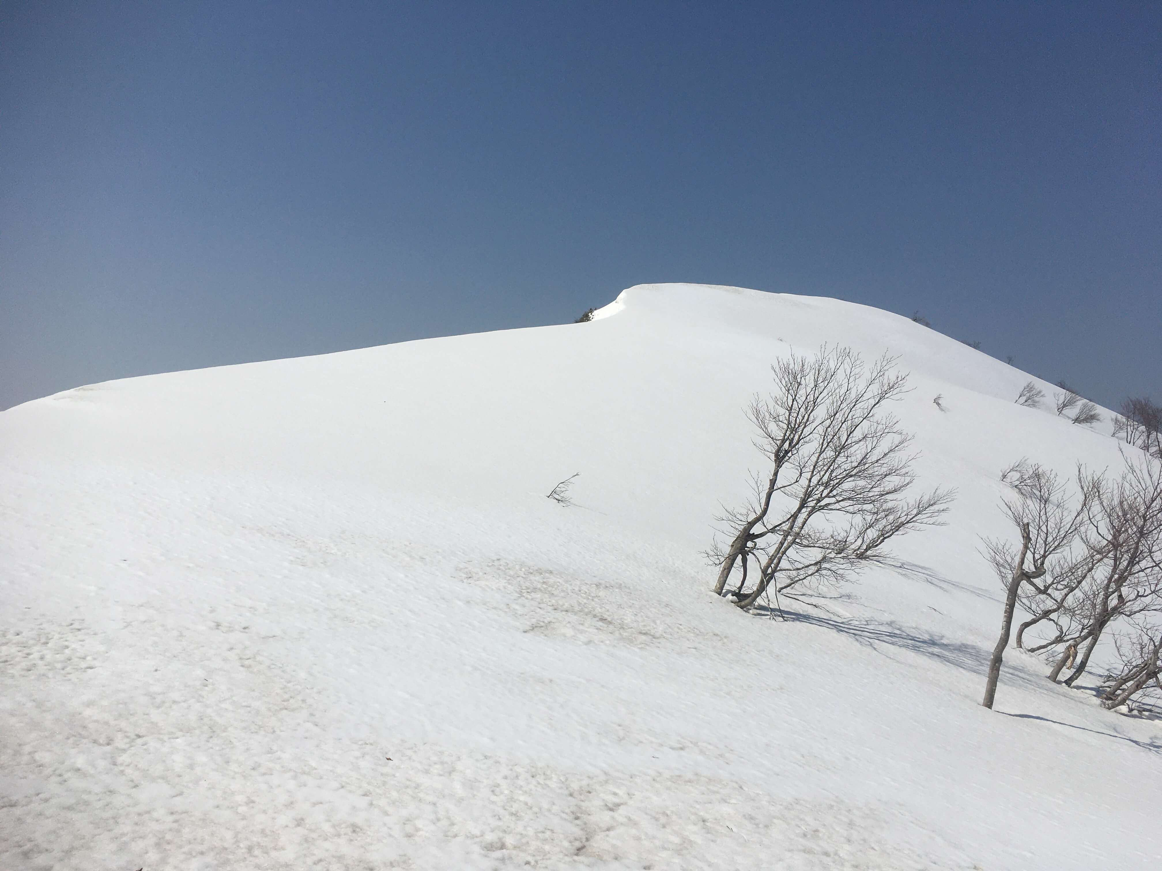 矢筈岳