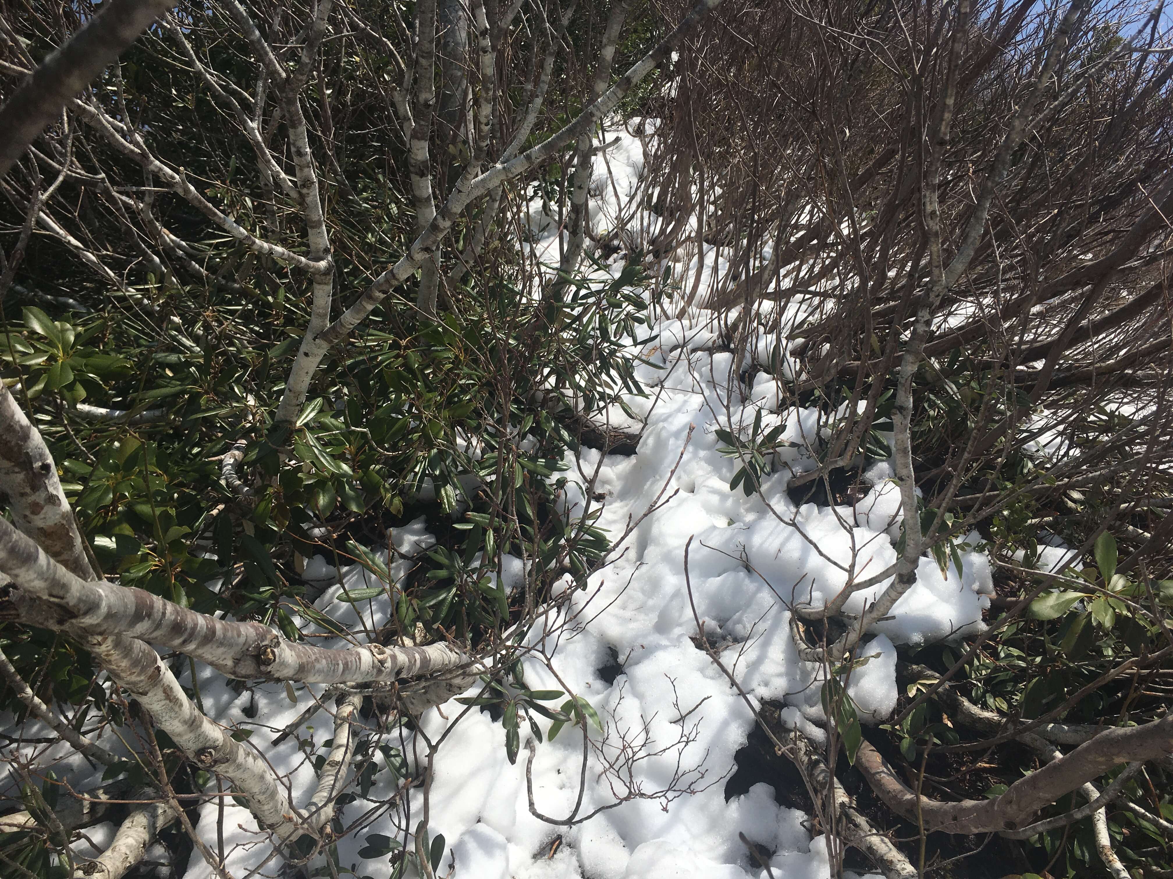 矢筈岳