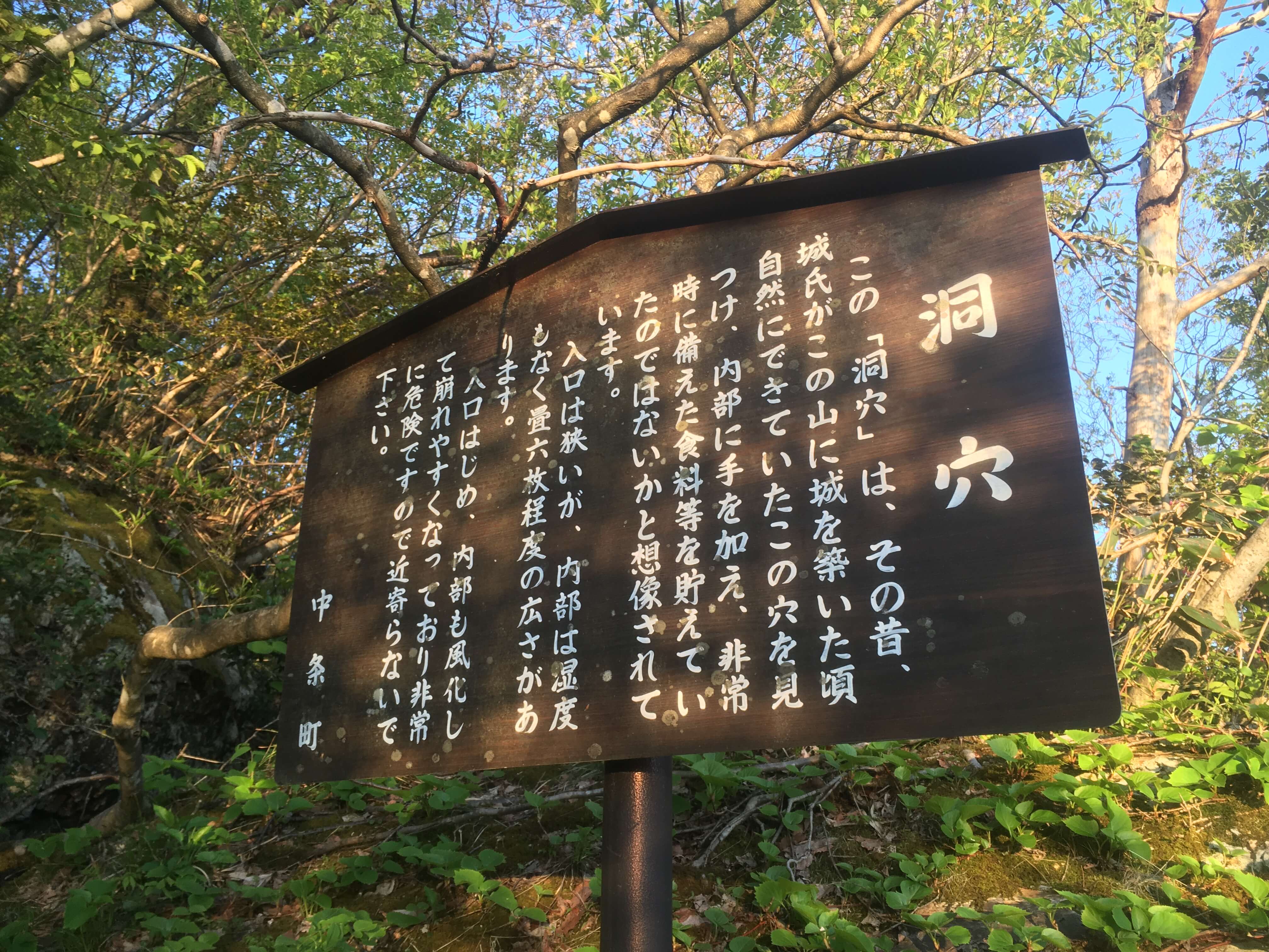 鳥坂山