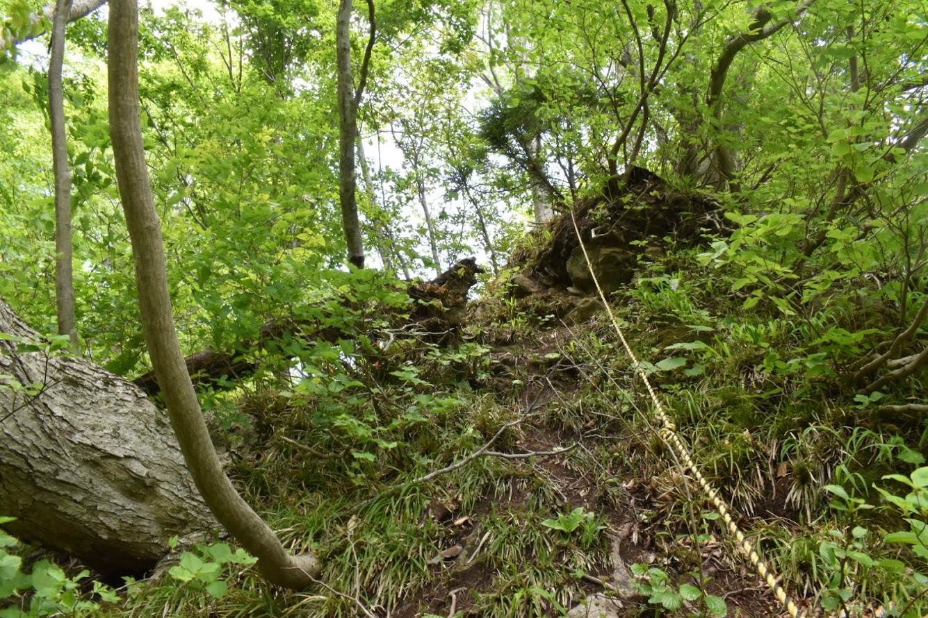 明星山