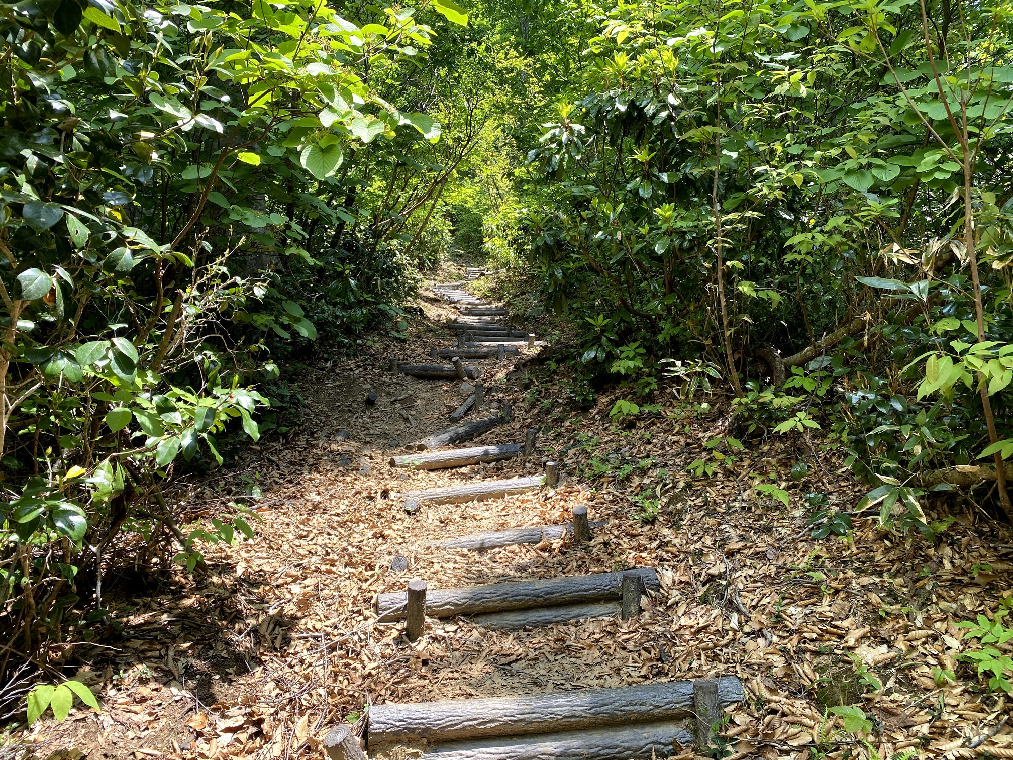 守門岳