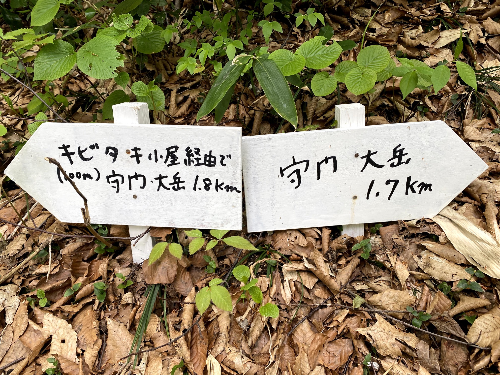 守門岳
