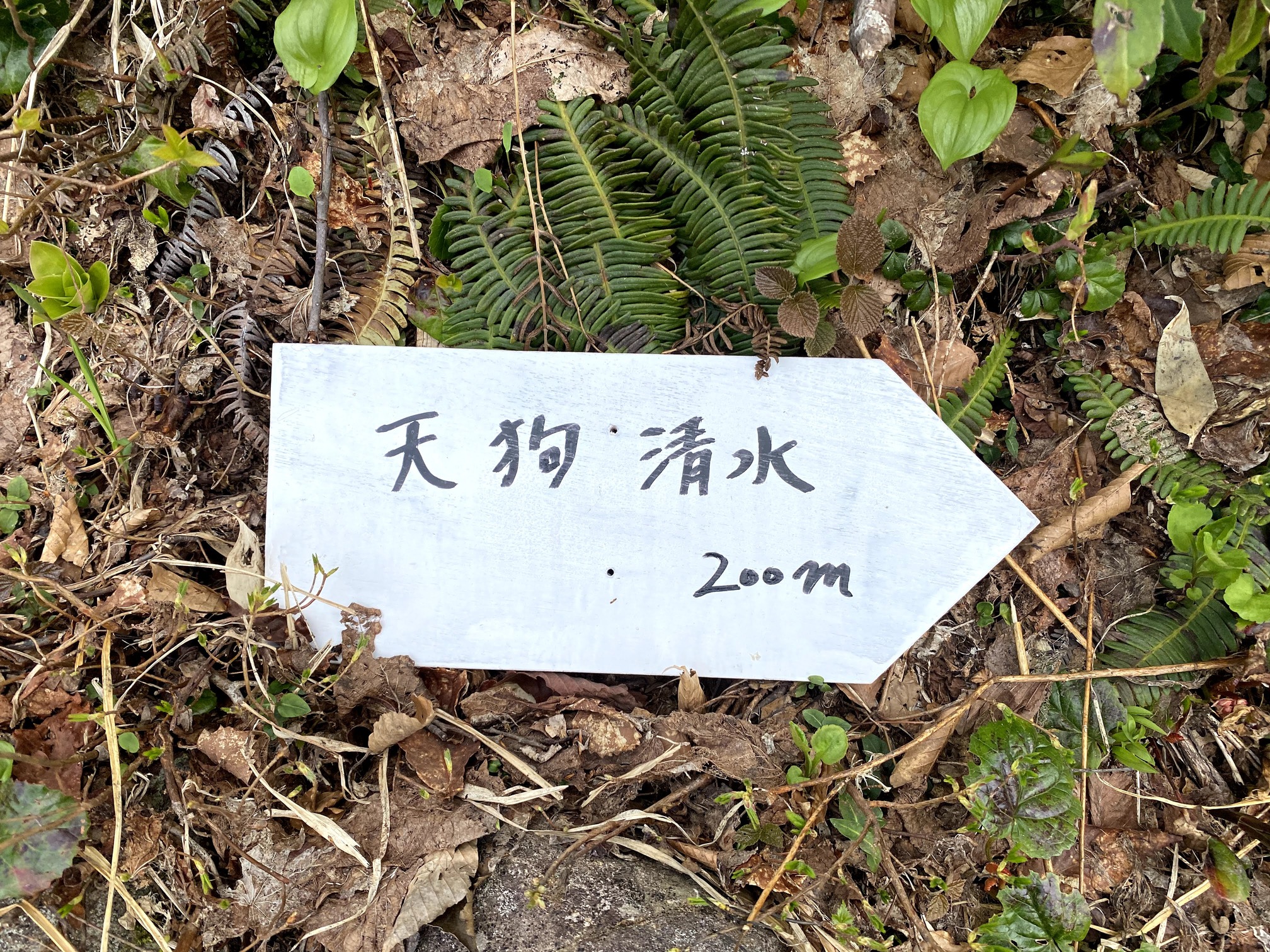 守門岳