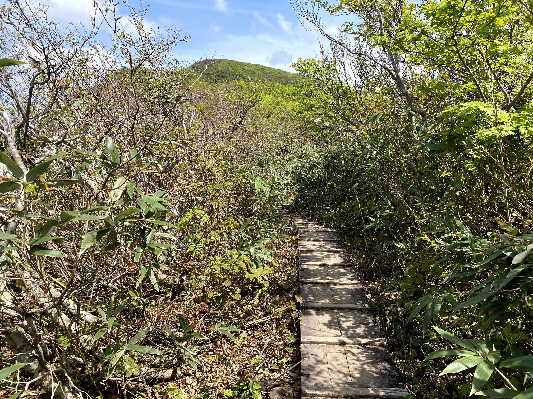 守門岳