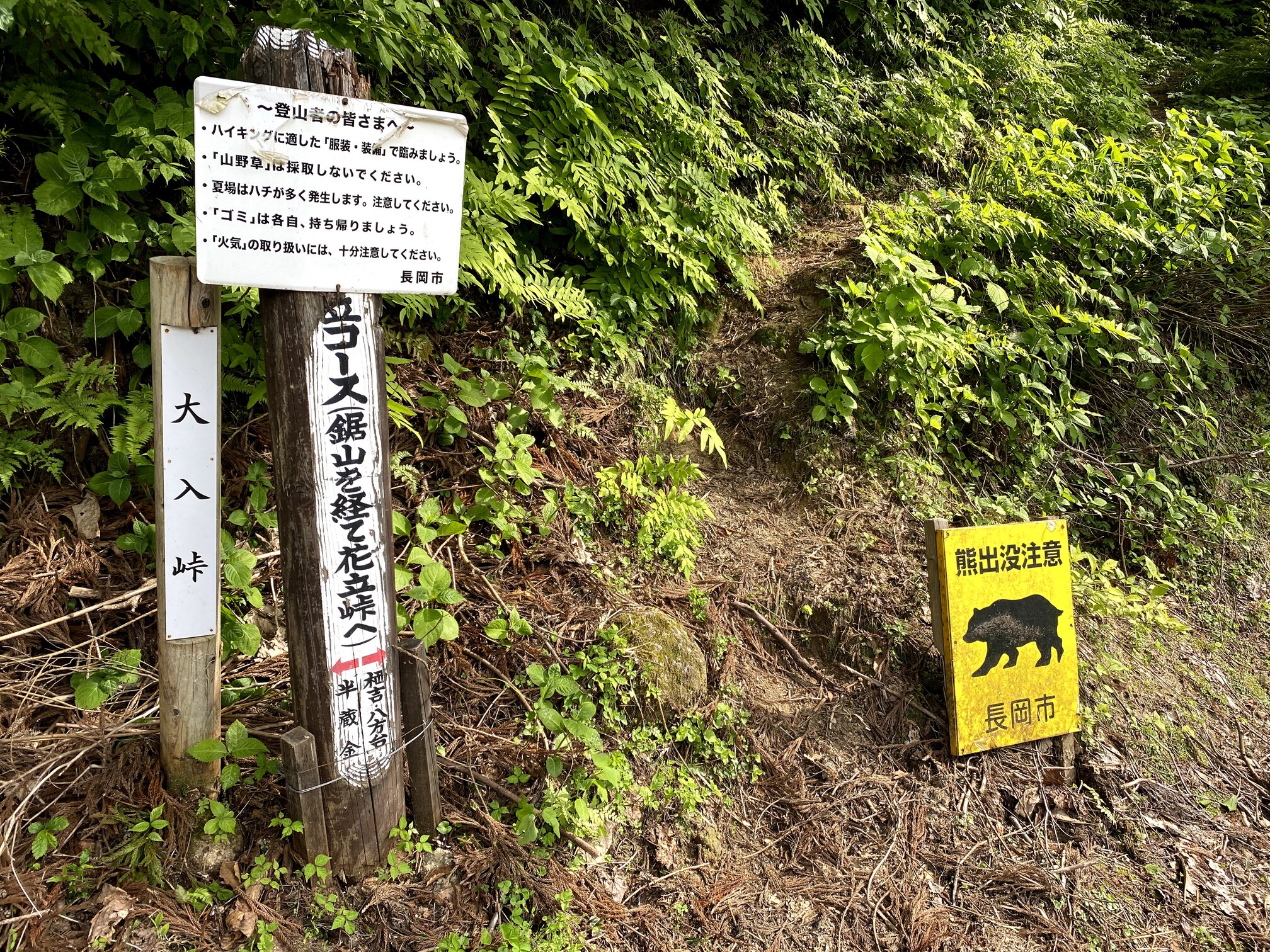 鋸山