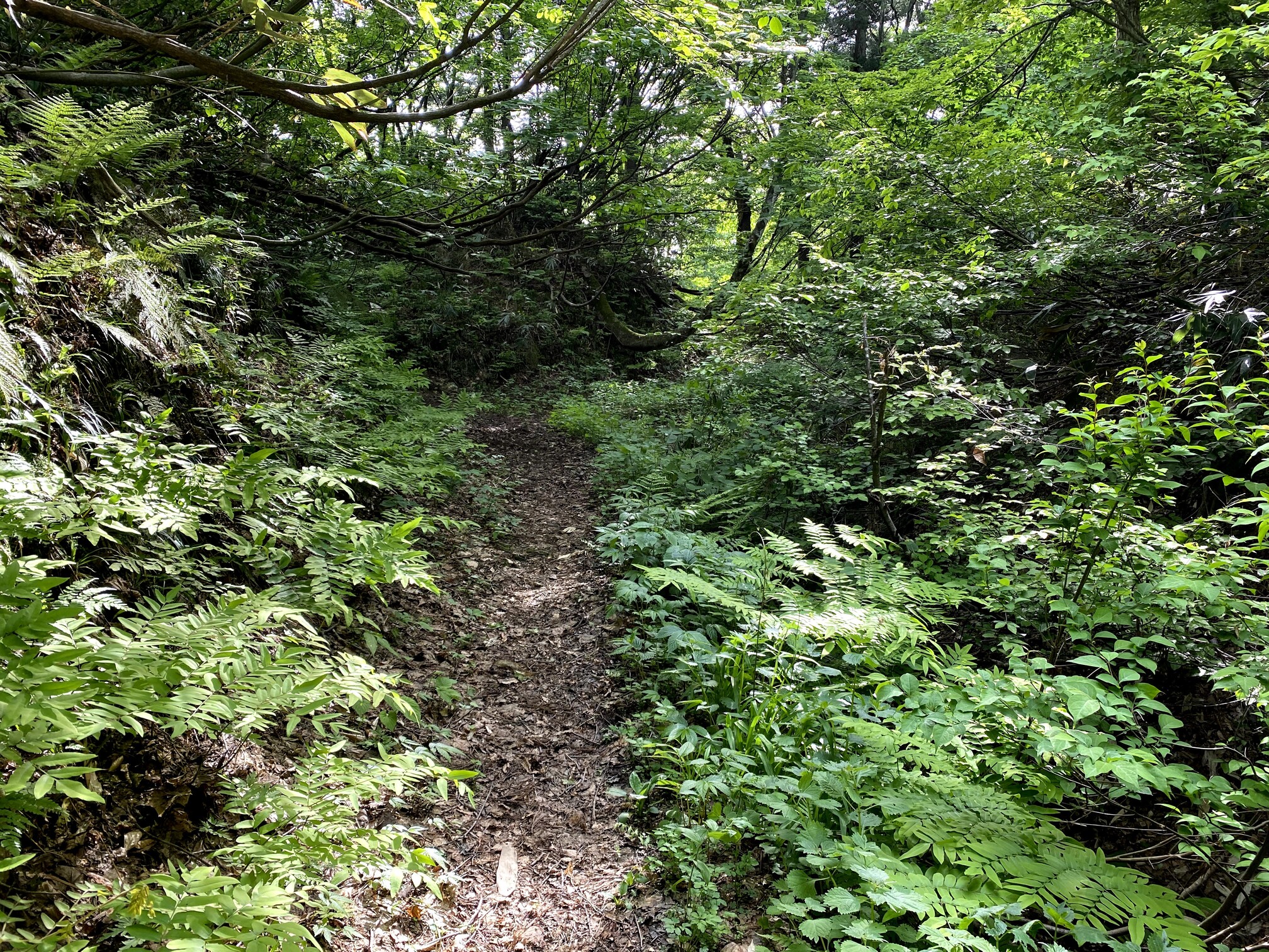 鋸山